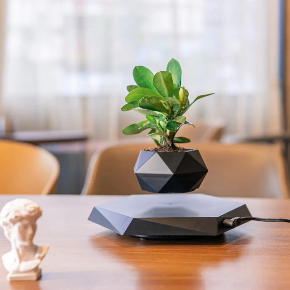 Magnetic Levitation Planter