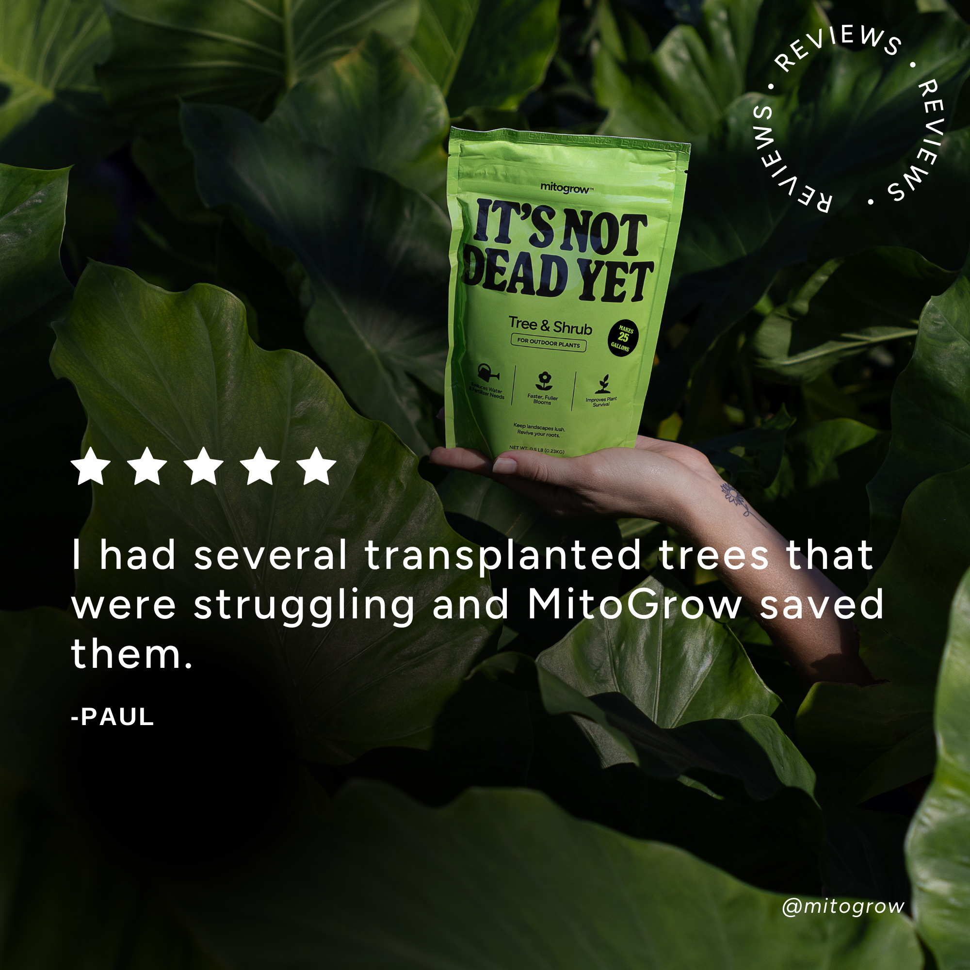 MitoGrow Tree + Shrub Biostimulant