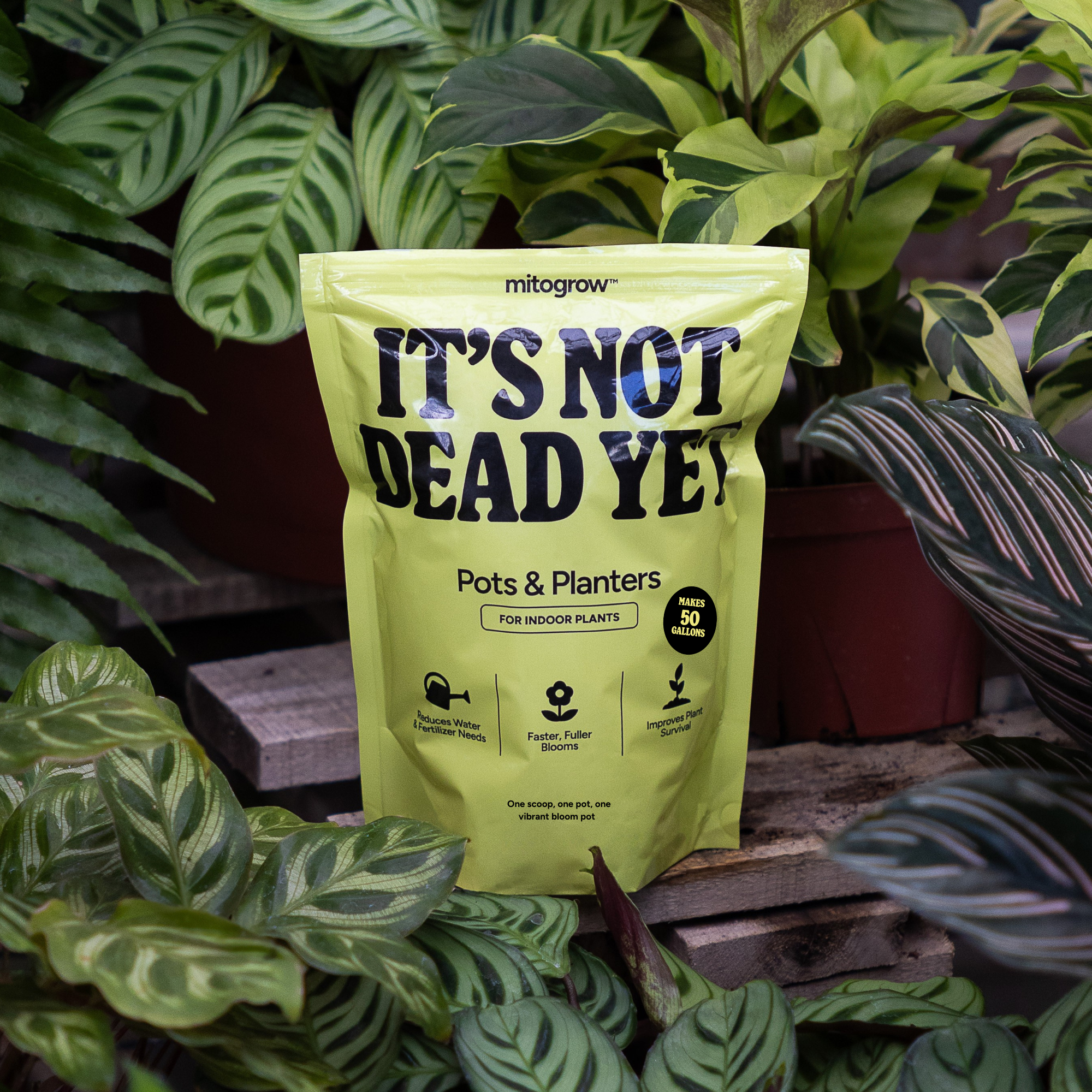 MitoGrow Pots + Planters Biostimulant