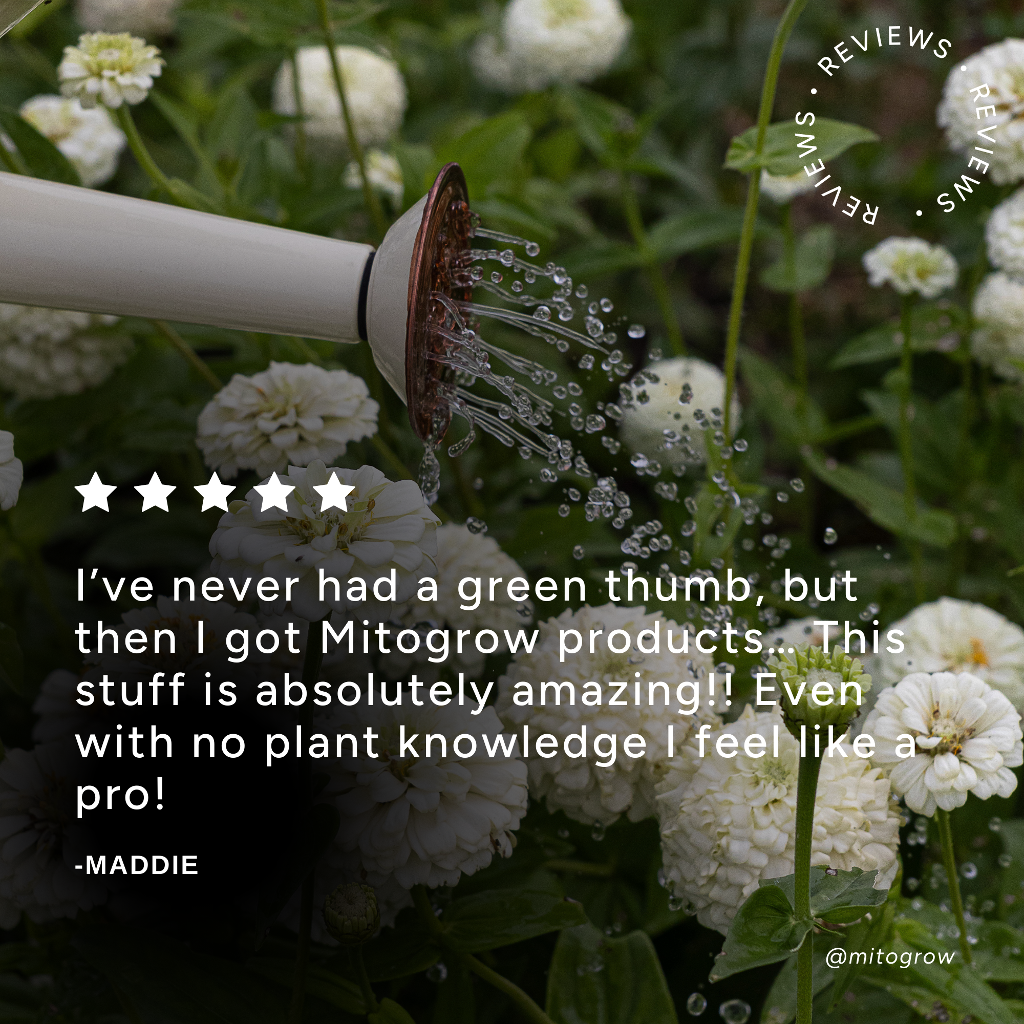 MitoGrow Pots + Planters Biostimulant