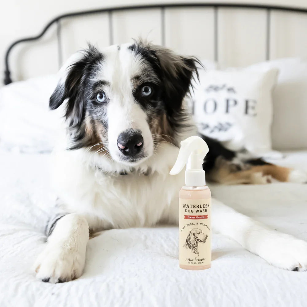 Sweet Berry waterless dog wash