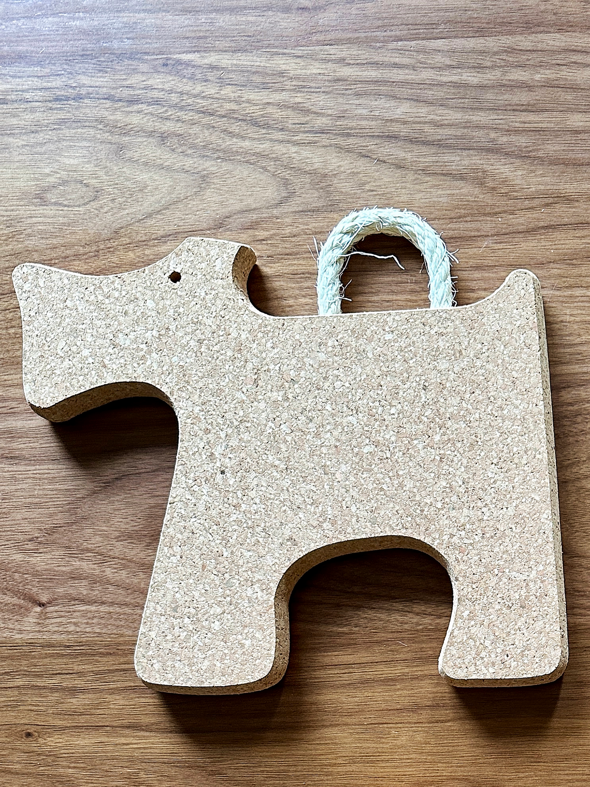 Nature-Shaped Cork Trivets