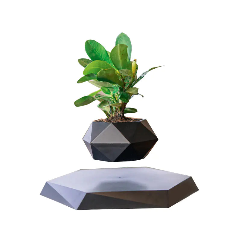 Magnetic levitation planter