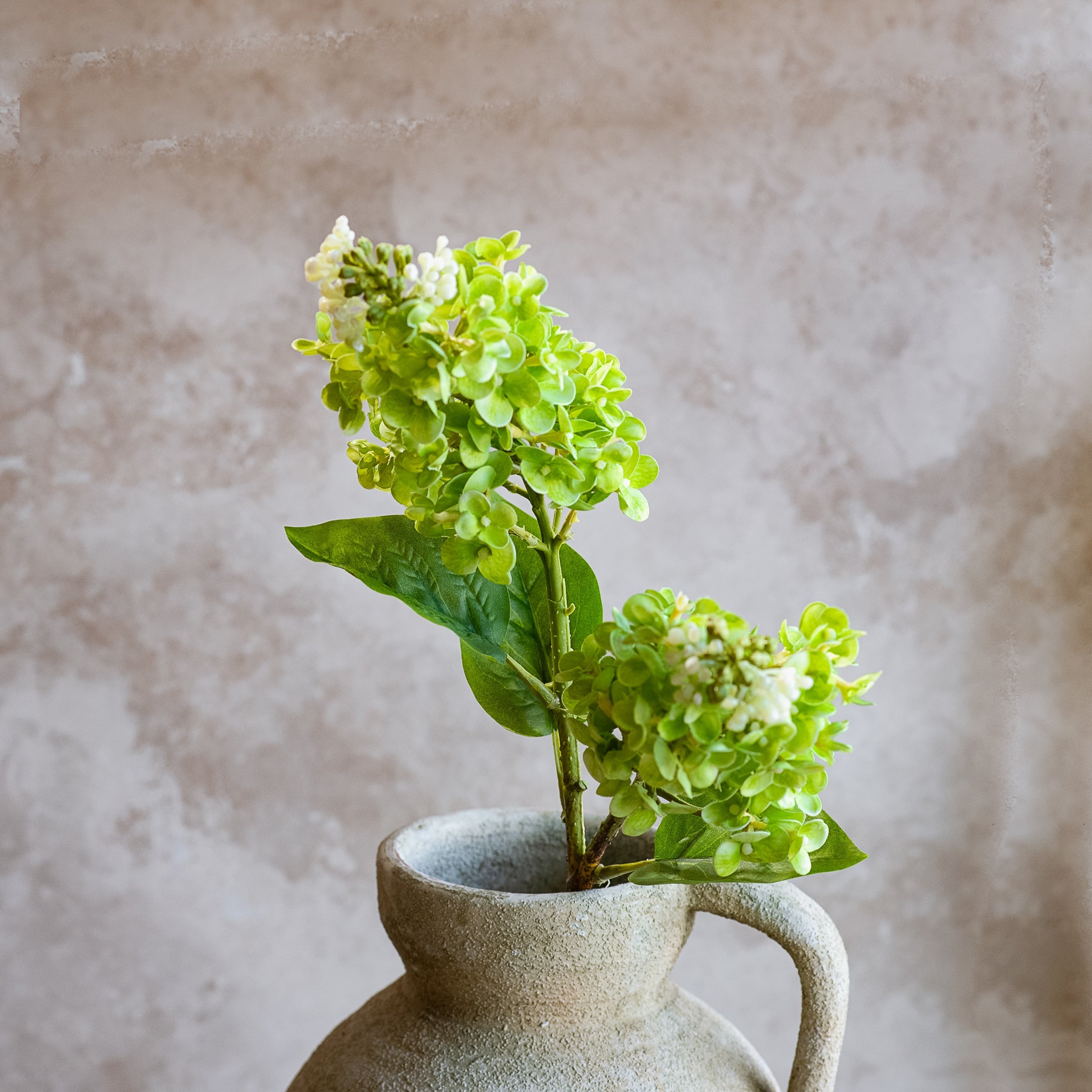 Green cone hydrangea stem