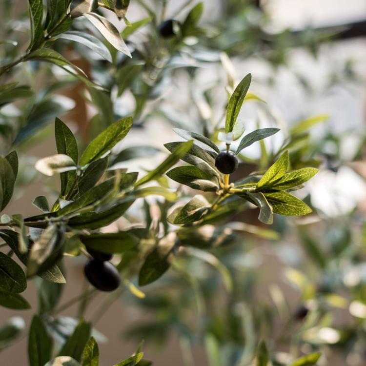 Artificial Silk Faux Olive Tree in Pot – alternate product view