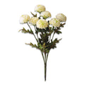 White ball dahlia bundle