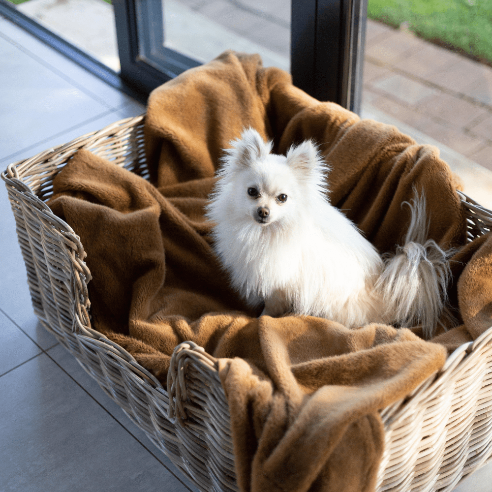 Handwoven Rattan Pet Bed