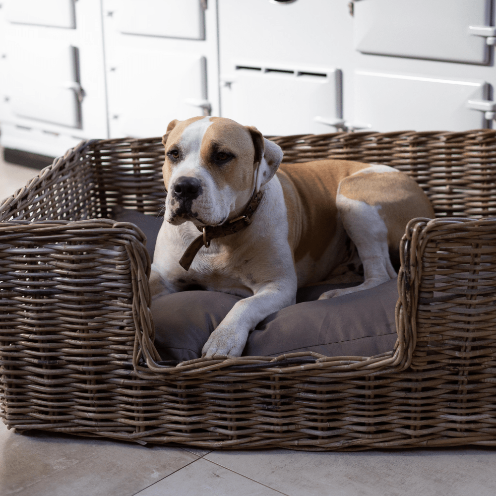 Handwoven Rattan Pet Bed