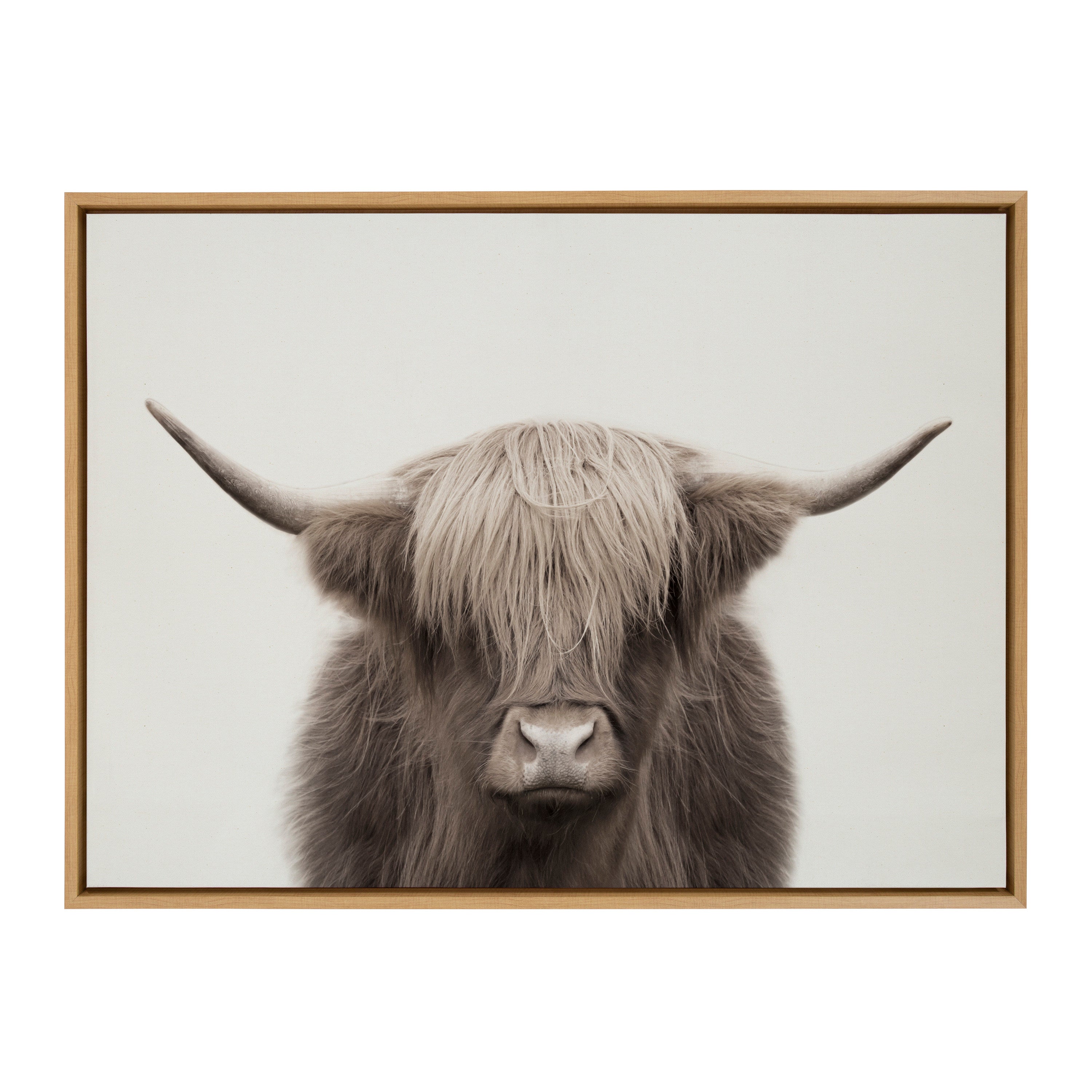 Sylvie Hey Dude Highland Cow Framed Canvas Art