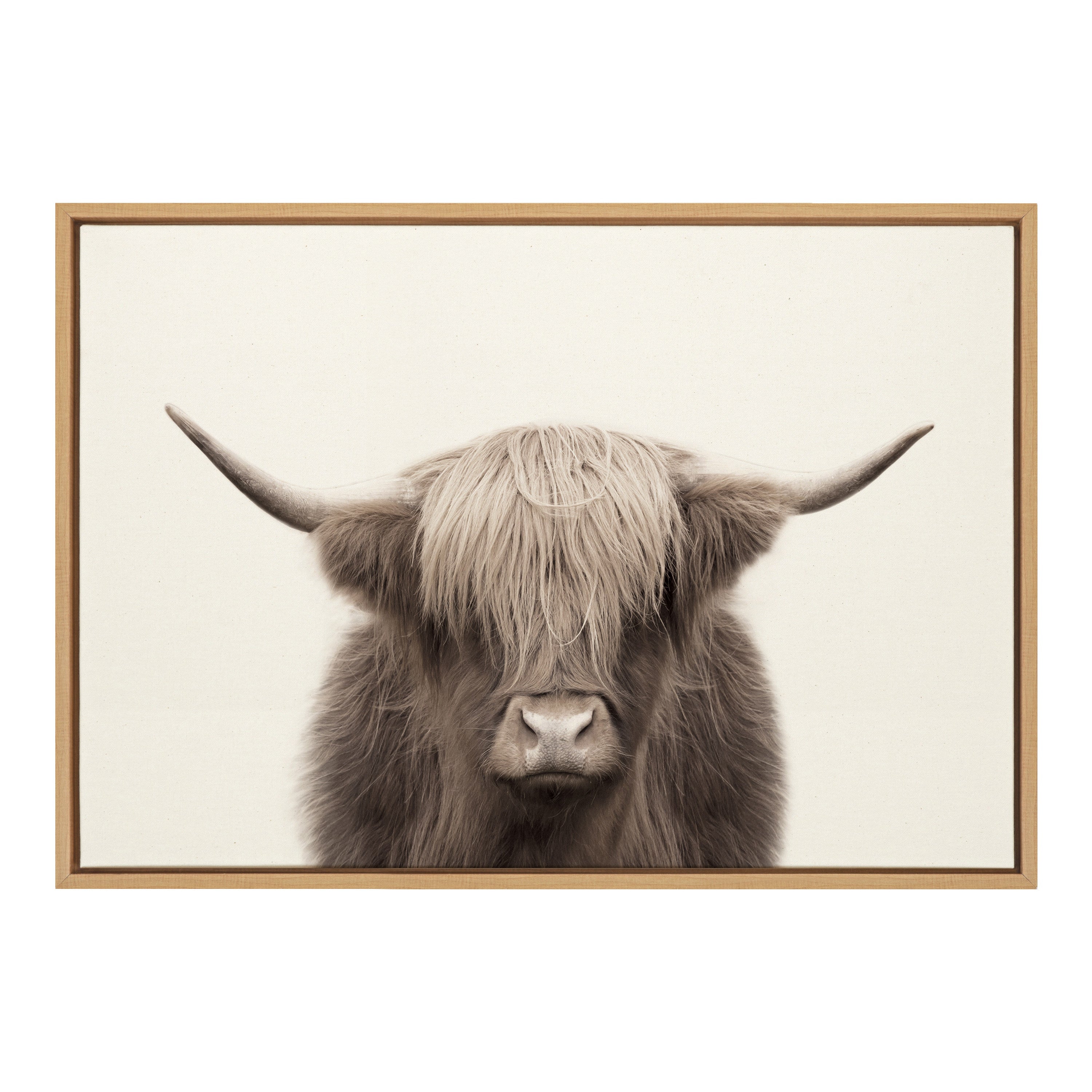 Sylvie Hey Dude Highland Cow Framed Canvas Art