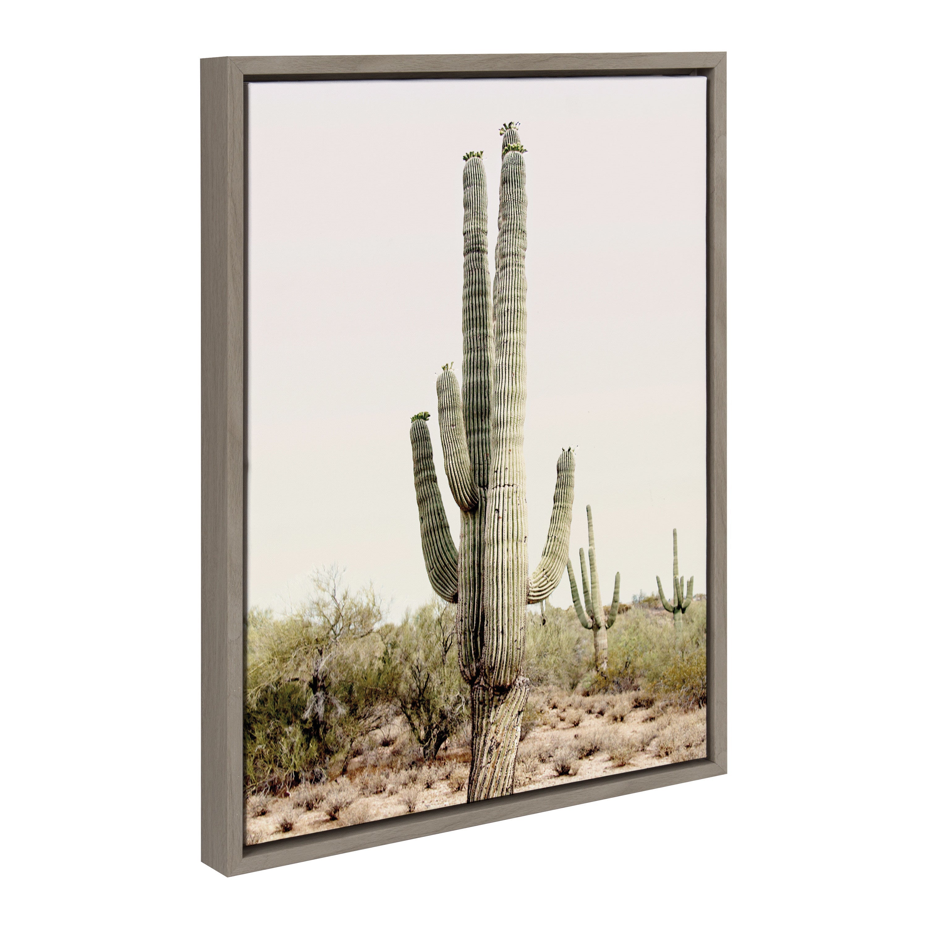Sylvie Sunrise Cactus Framed Canvas Art