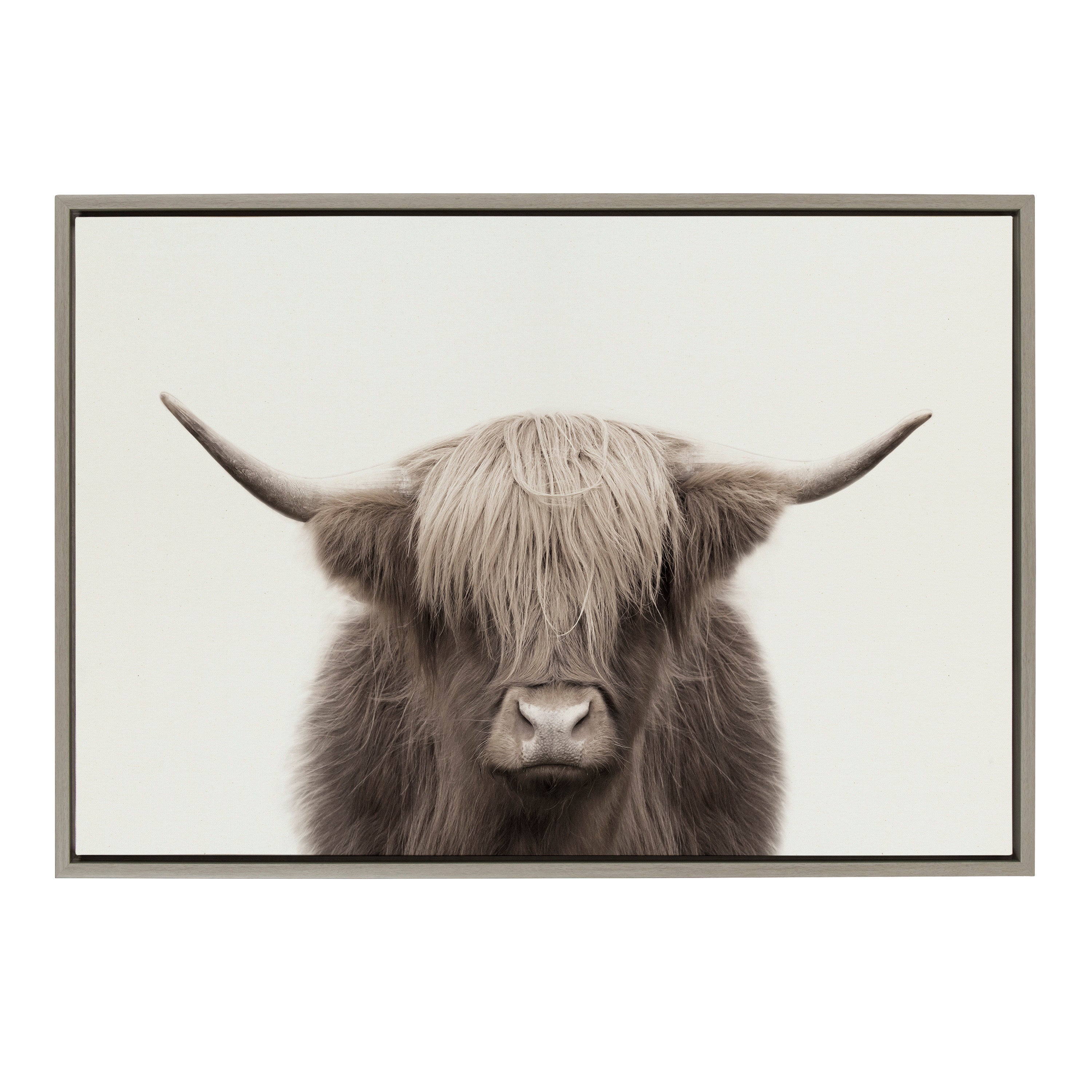 Sylvie Hey Dude Highland Cow Framed Canvas Art