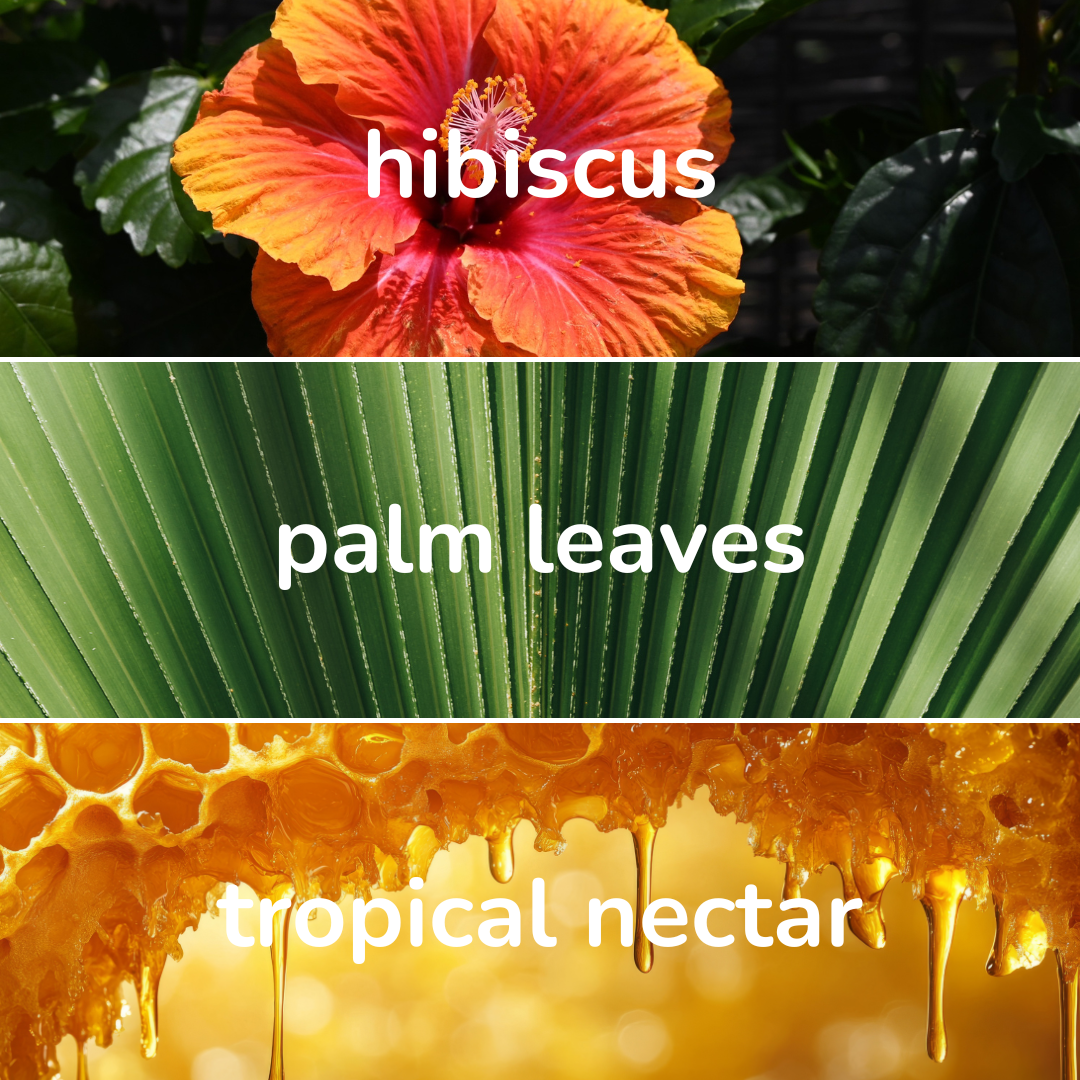Polynesian Shores Room + Linen Spray | Disney Resort Inspired