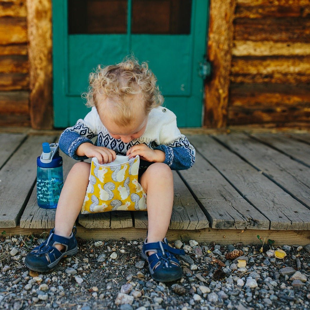 Reusable snack bag