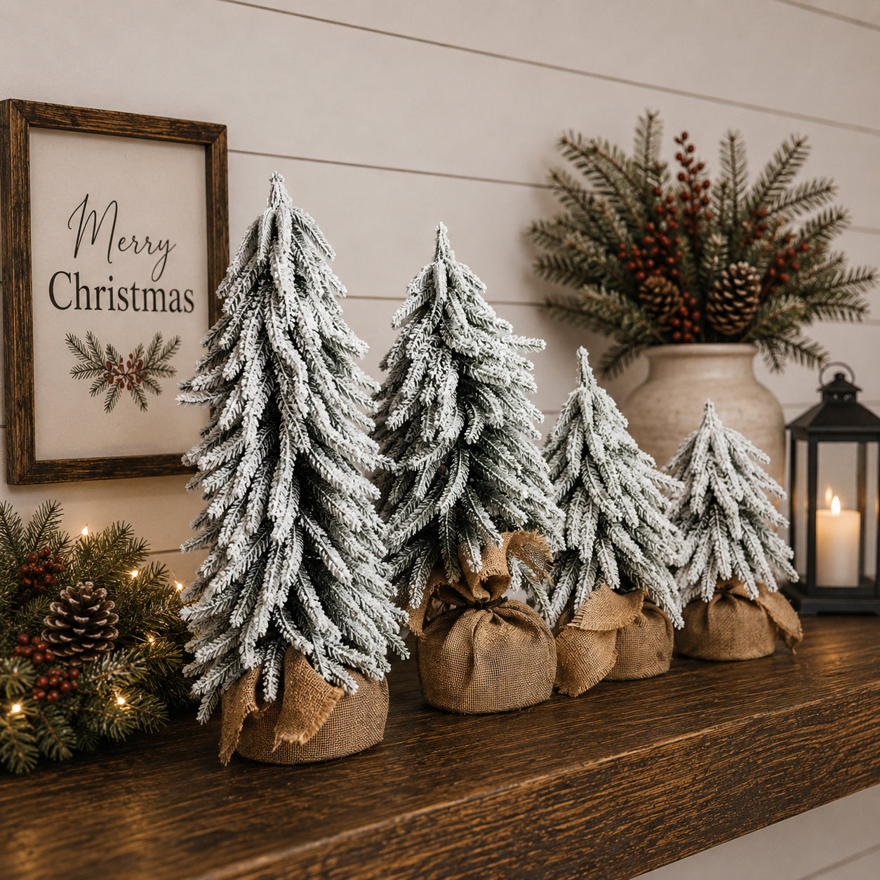 Snow Trees