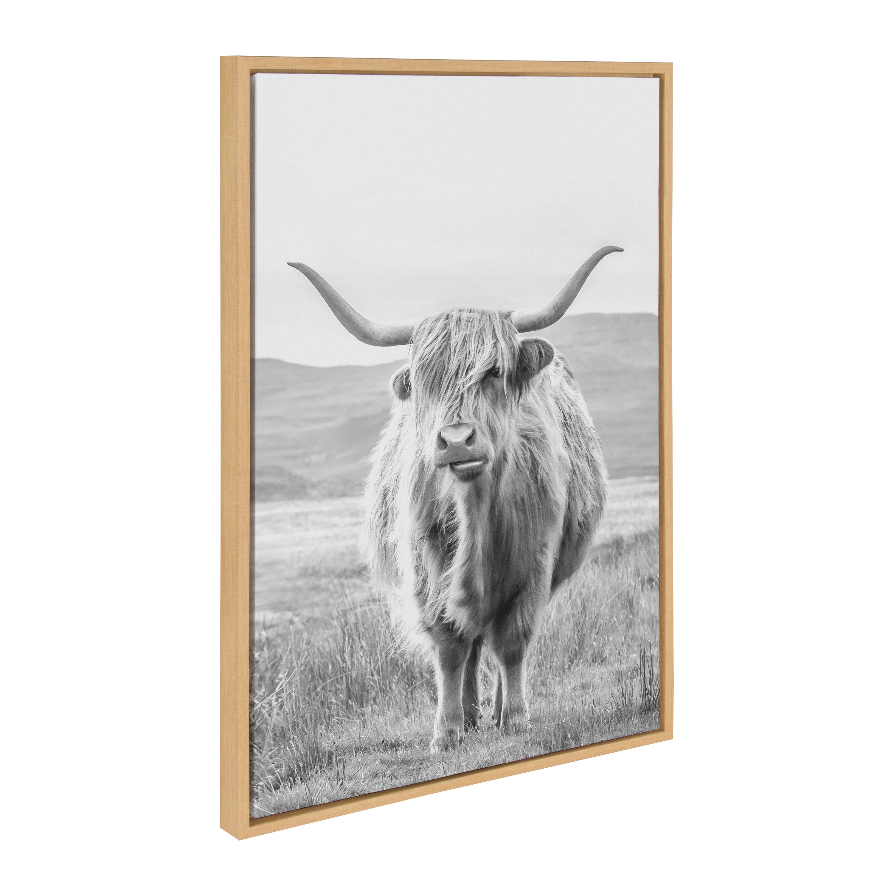 Sylvie Highland Cows Black & White 3-Piece Framed Canvas Art Set