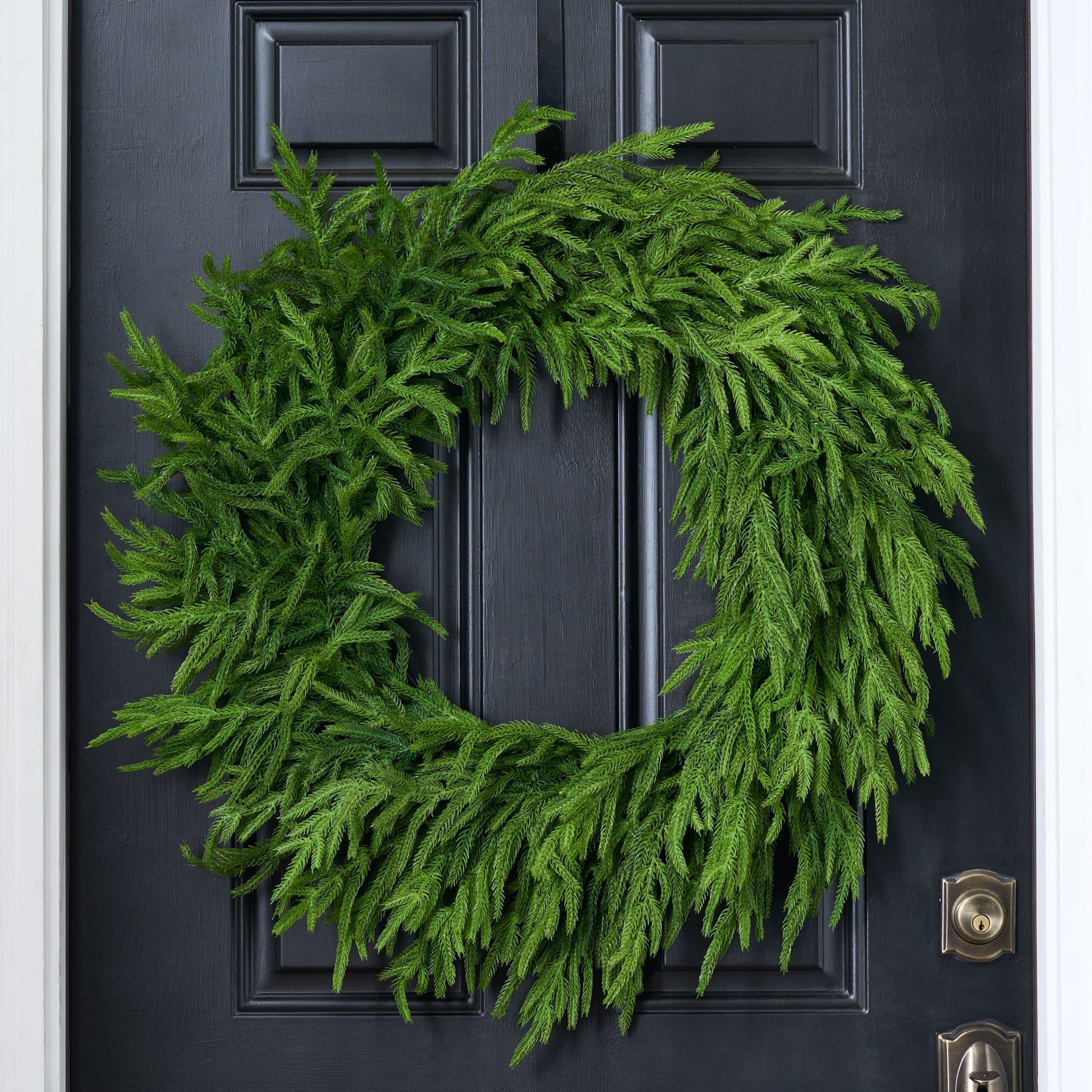 Norfolk pine Christmas wreath