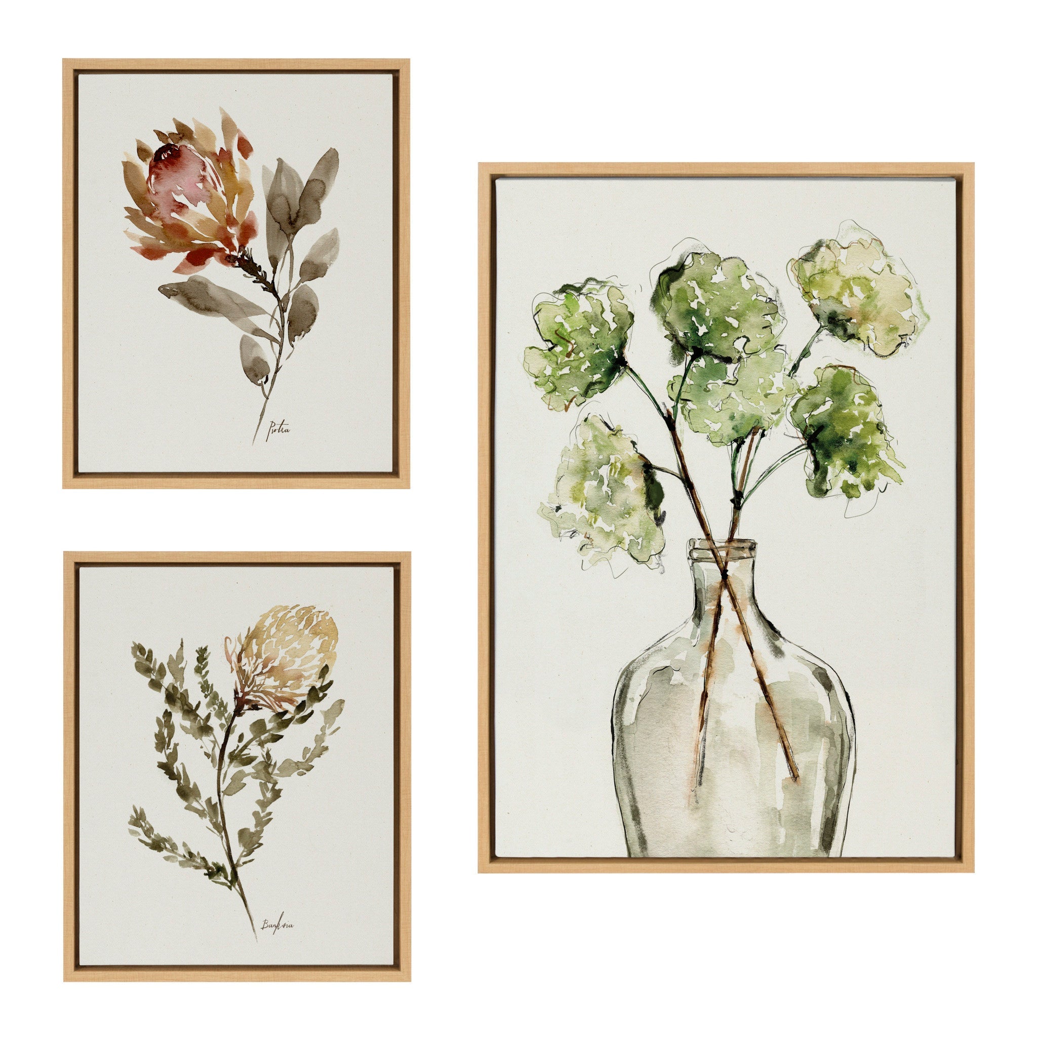 Sylvie Greenery Vase & Protea 3-Piece Framed Canvas Art Set
