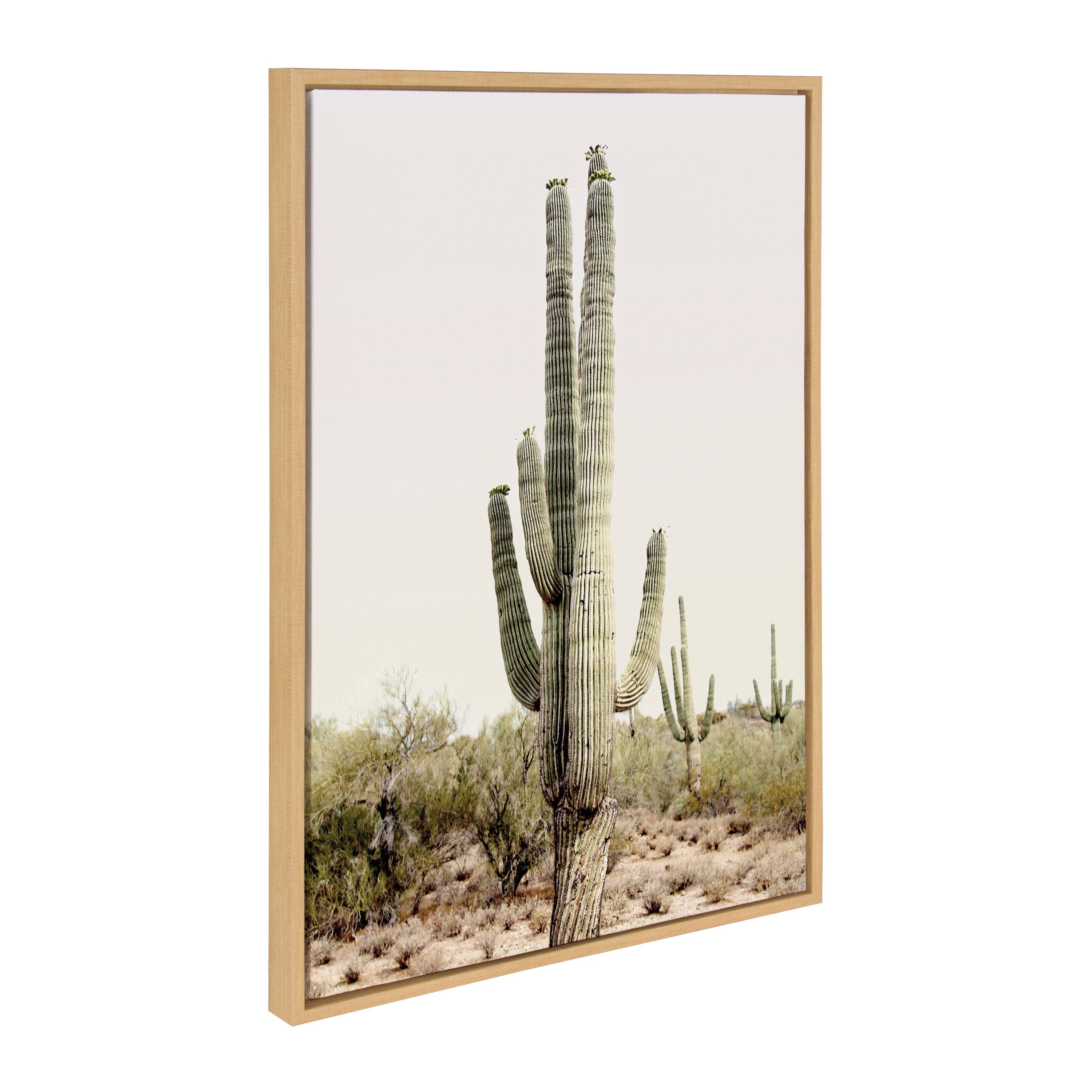 Sylvie Sunrise Cactus 3-Piece Framed Canvas Art Set