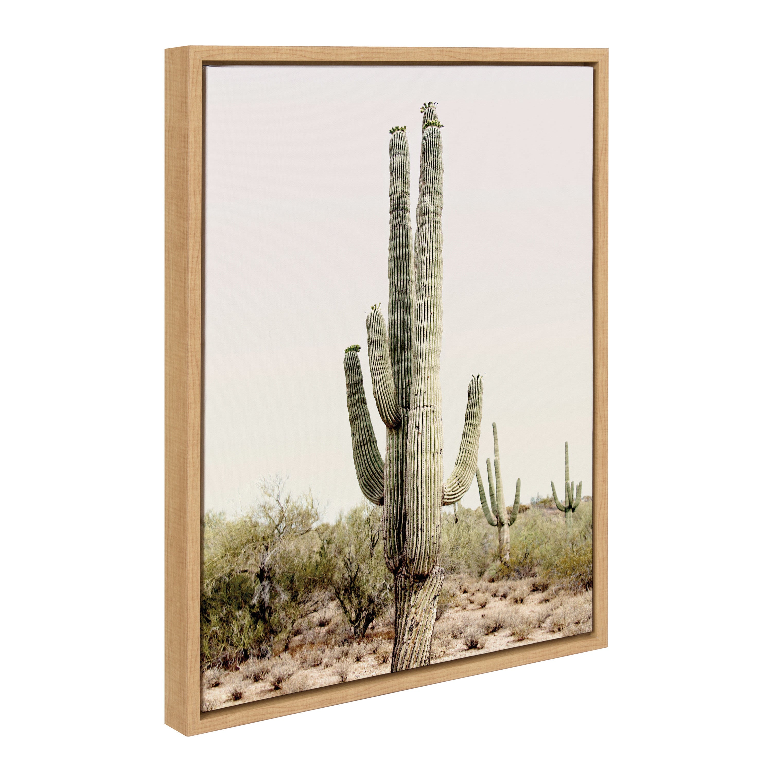 Sylvie Sunrise Cactus Framed Canvas Art