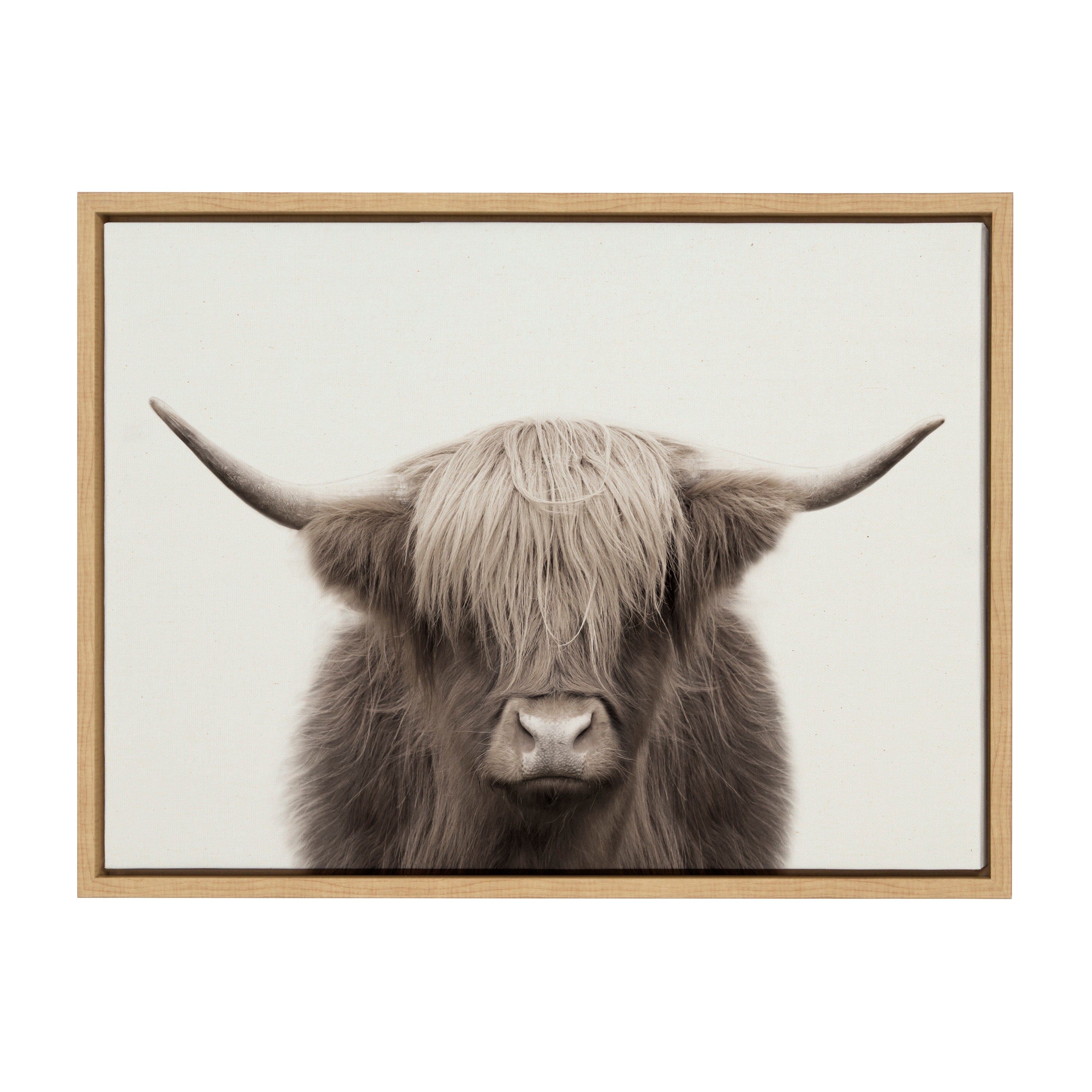 Sylvie Hey Dude Highland Cow Framed Canvas Art