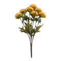 Yellow ball dahlia bundle