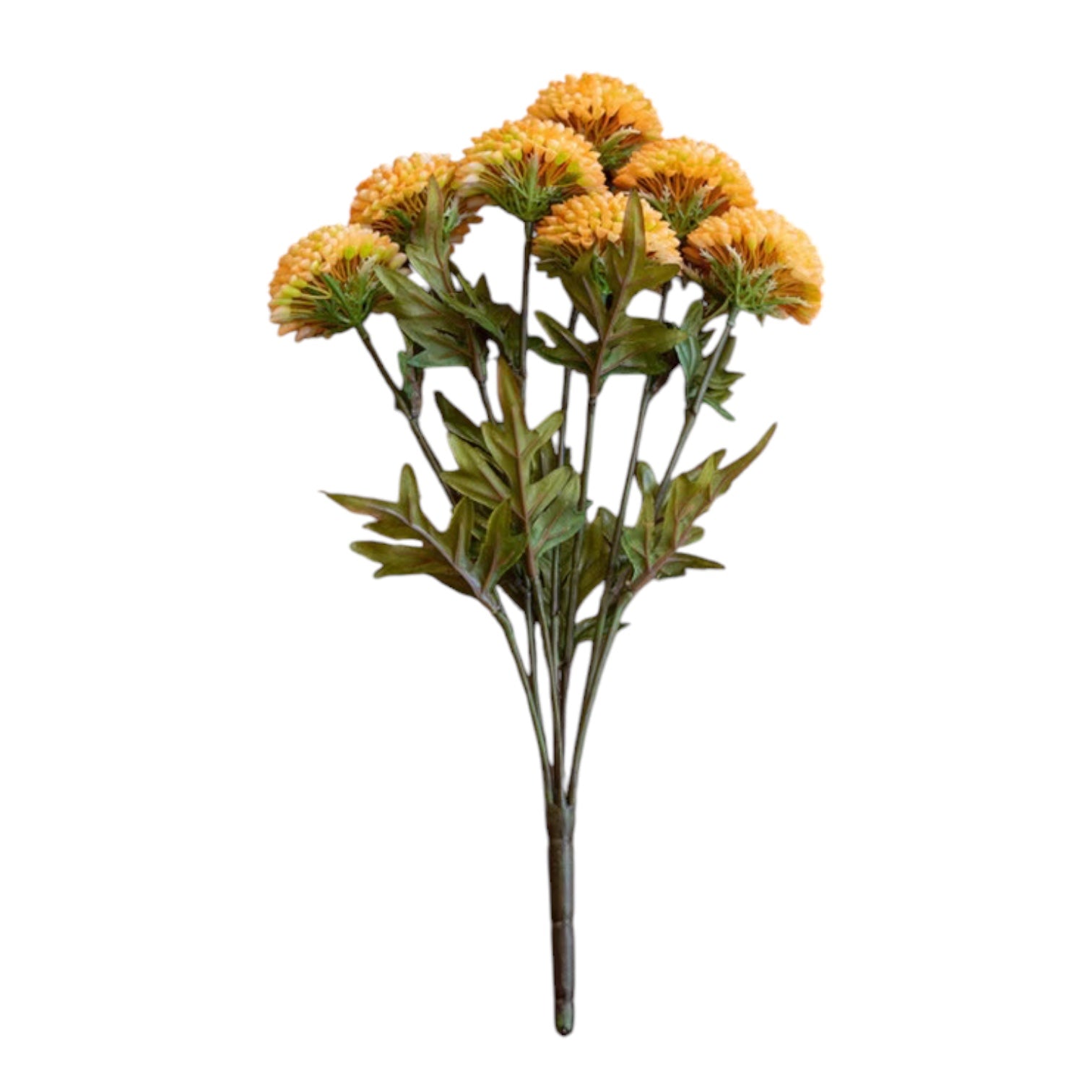 Yellow ball dahlia bundle