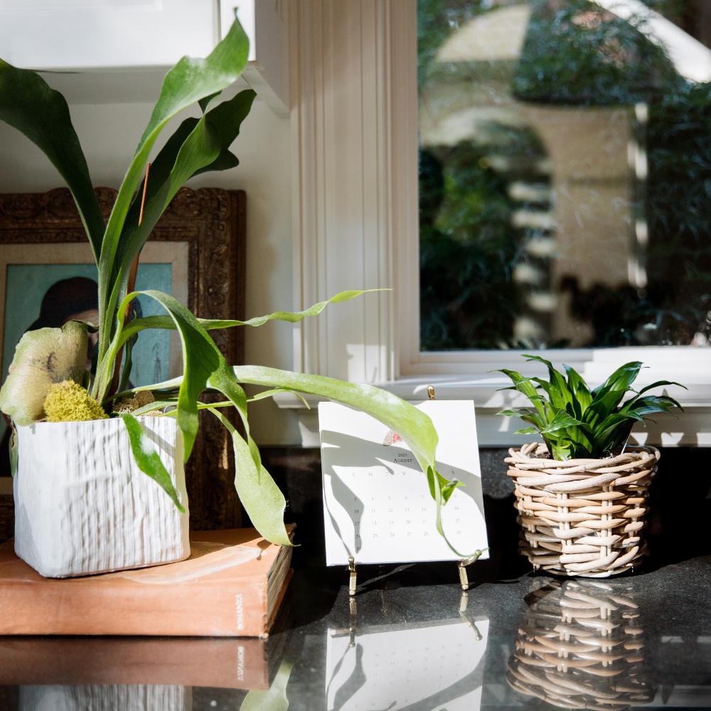 Rattan Planter Basket with Plastic Liner