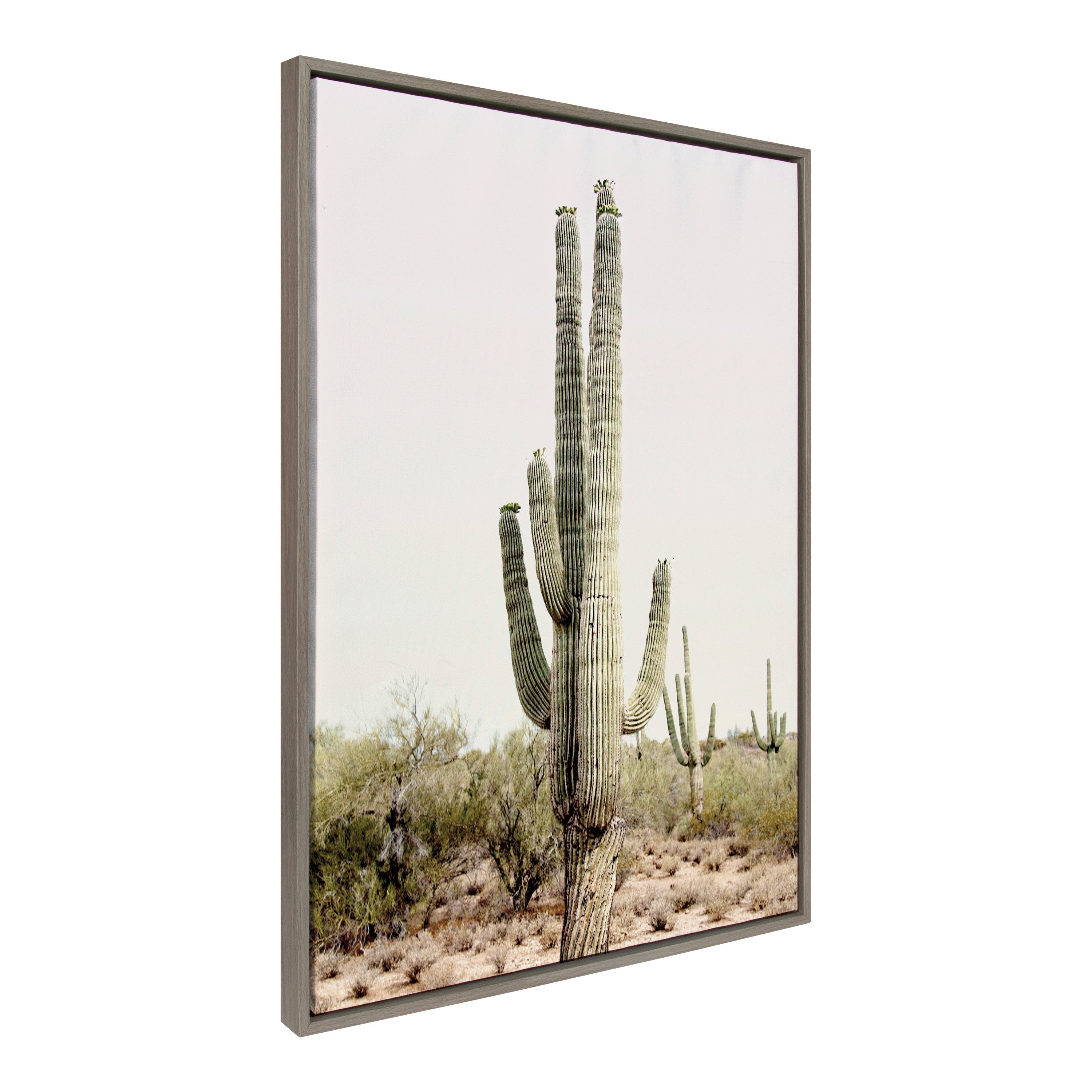 Sylvie Sunrise Cactus Framed Canvas Art