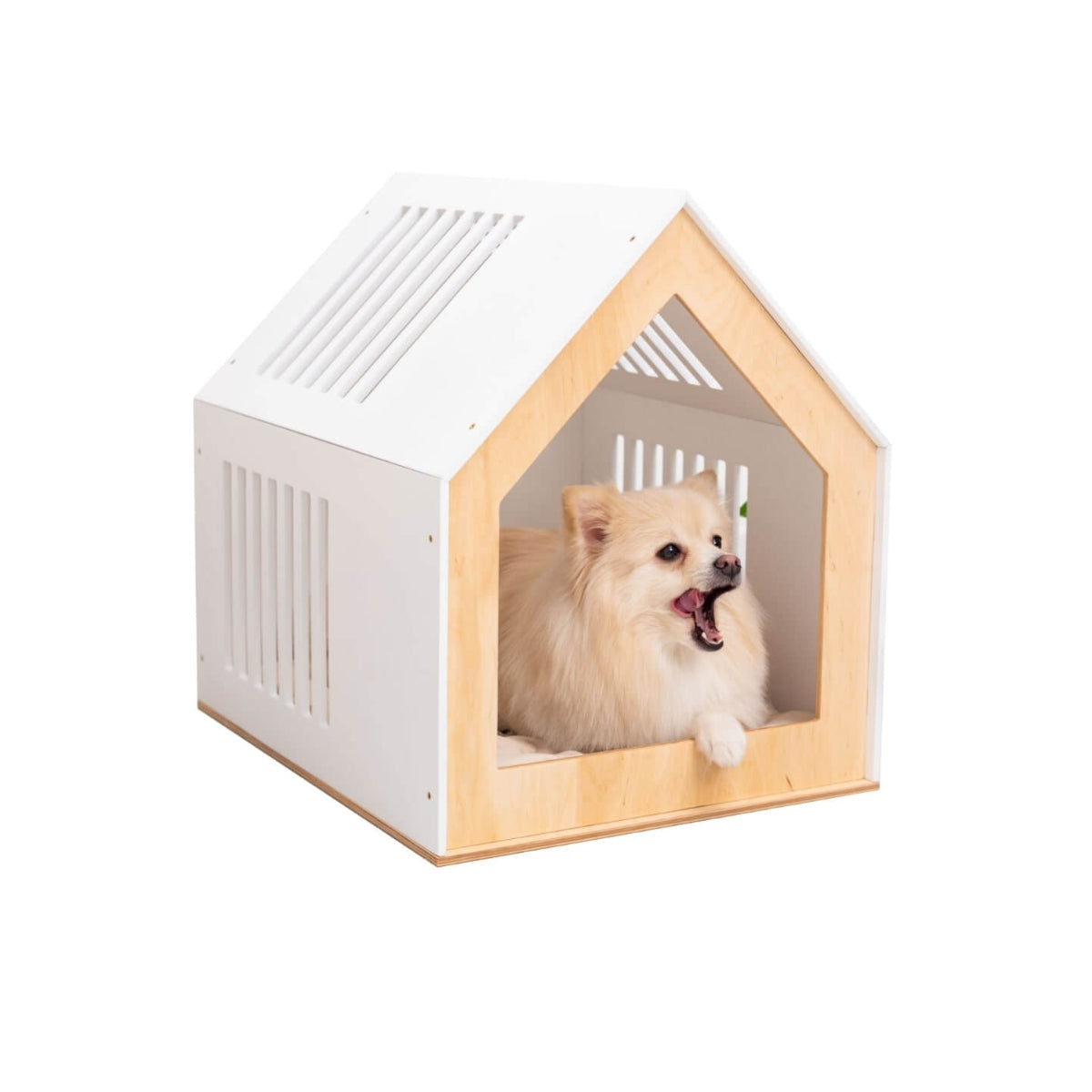 Indoor dog house styled room view