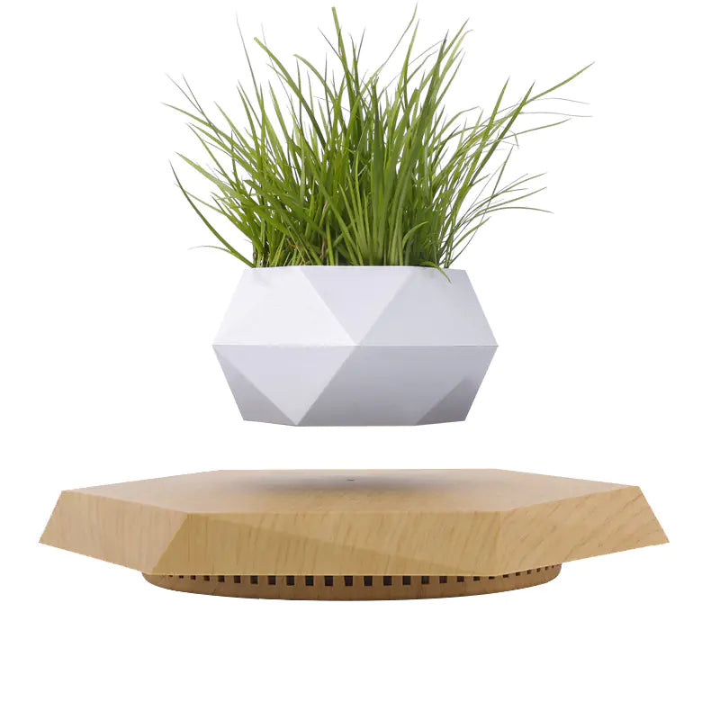 Magnetic levitation planter