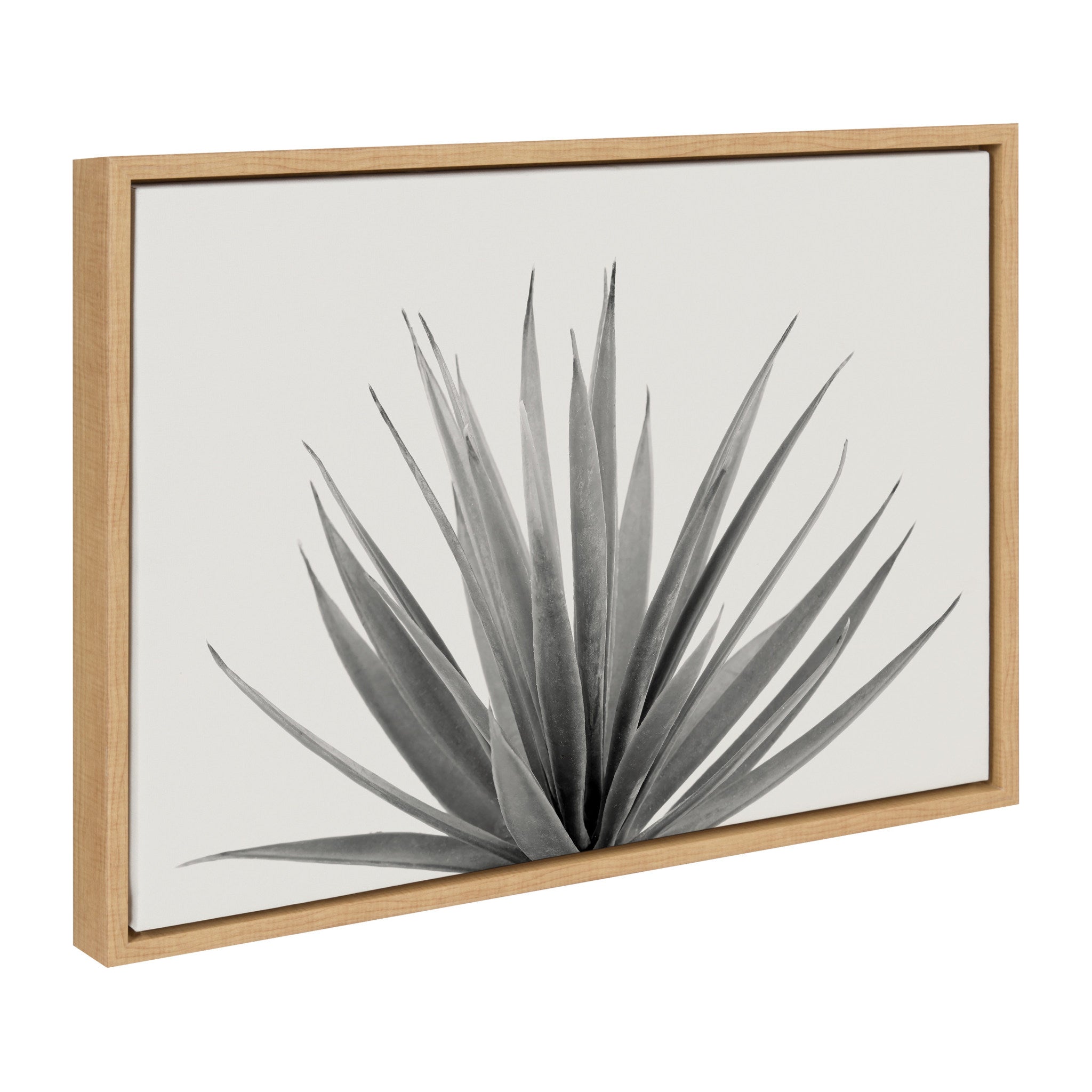 Sylvie Haze Succulent & Cactus 4-Piece Framed Canvas Art Set