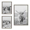 Sylvie Highland Cows Black & White 3-Piece Framed Canvas Art Set