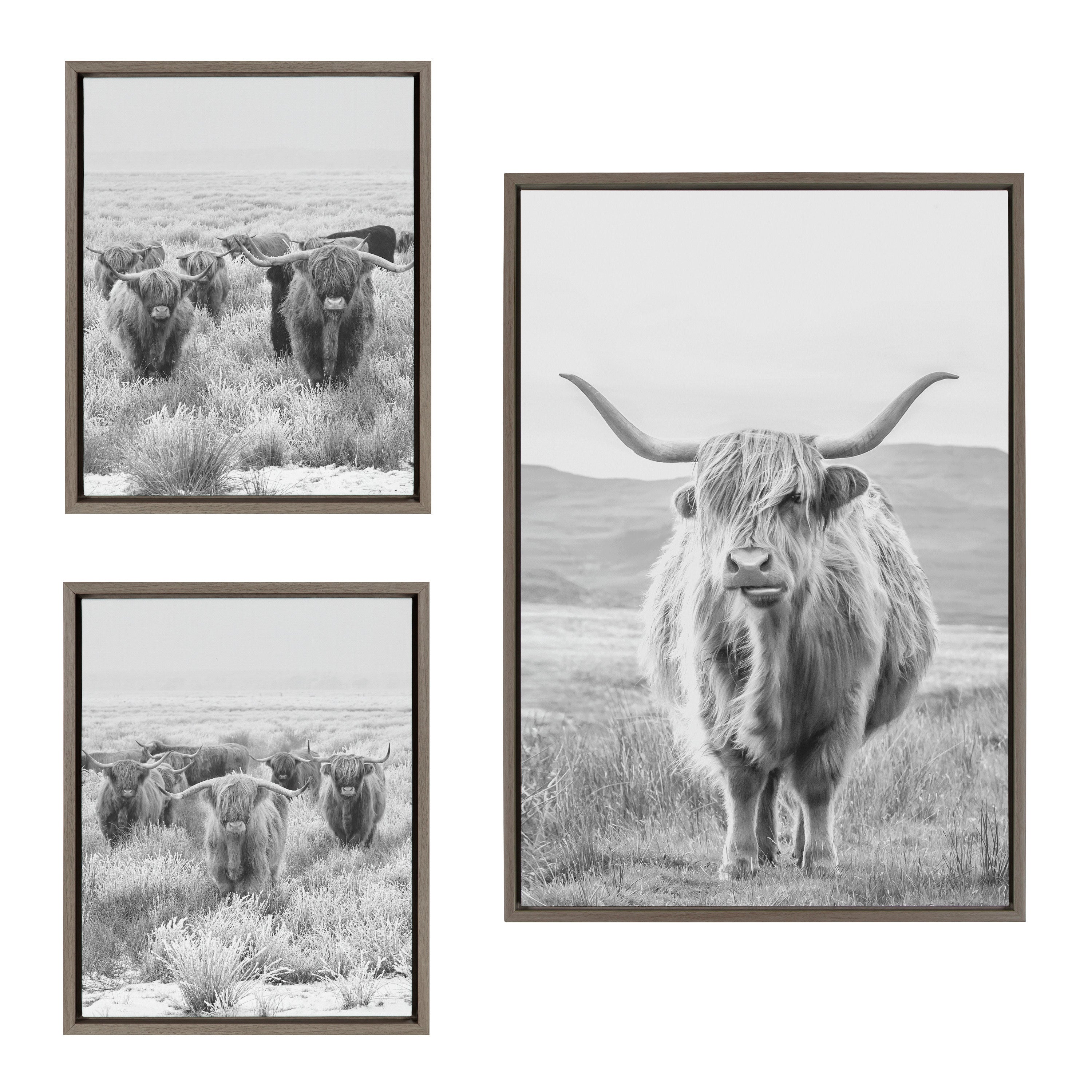 Sylvie Highland Cows Black & White 3-Piece Framed Canvas Art Set