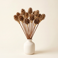 Mini Pinecone Diffuser Sticks