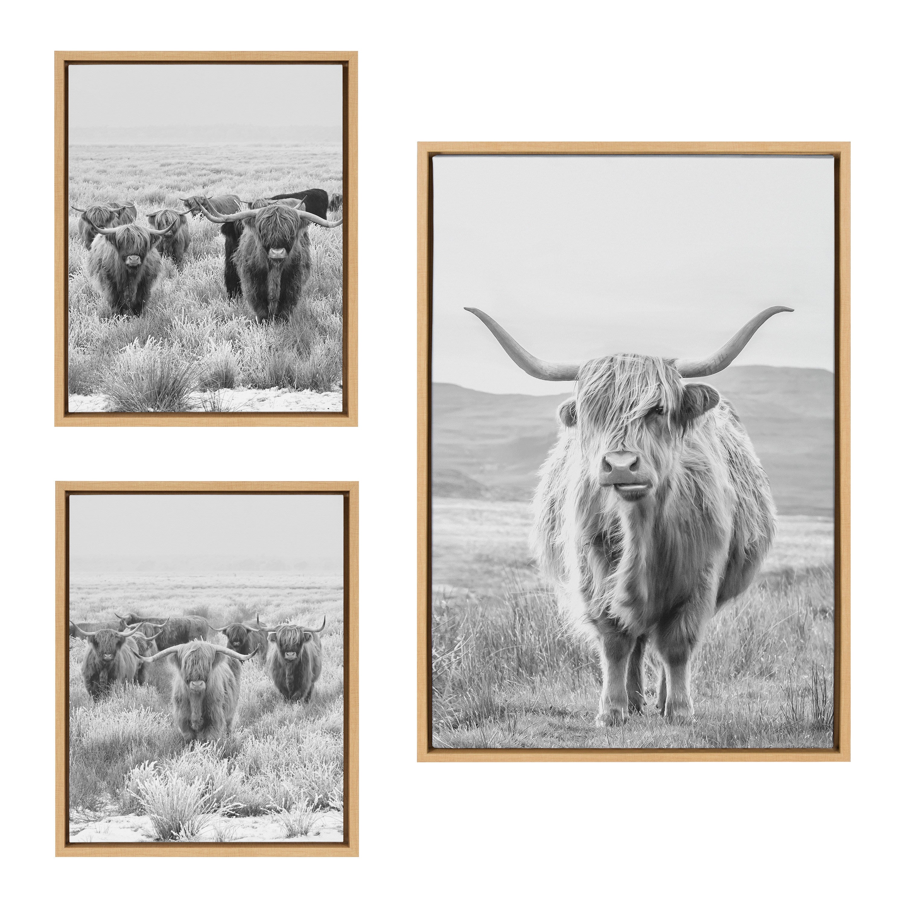 Sylvie Highland Cows Black & White 3-Piece Framed Canvas Art Set