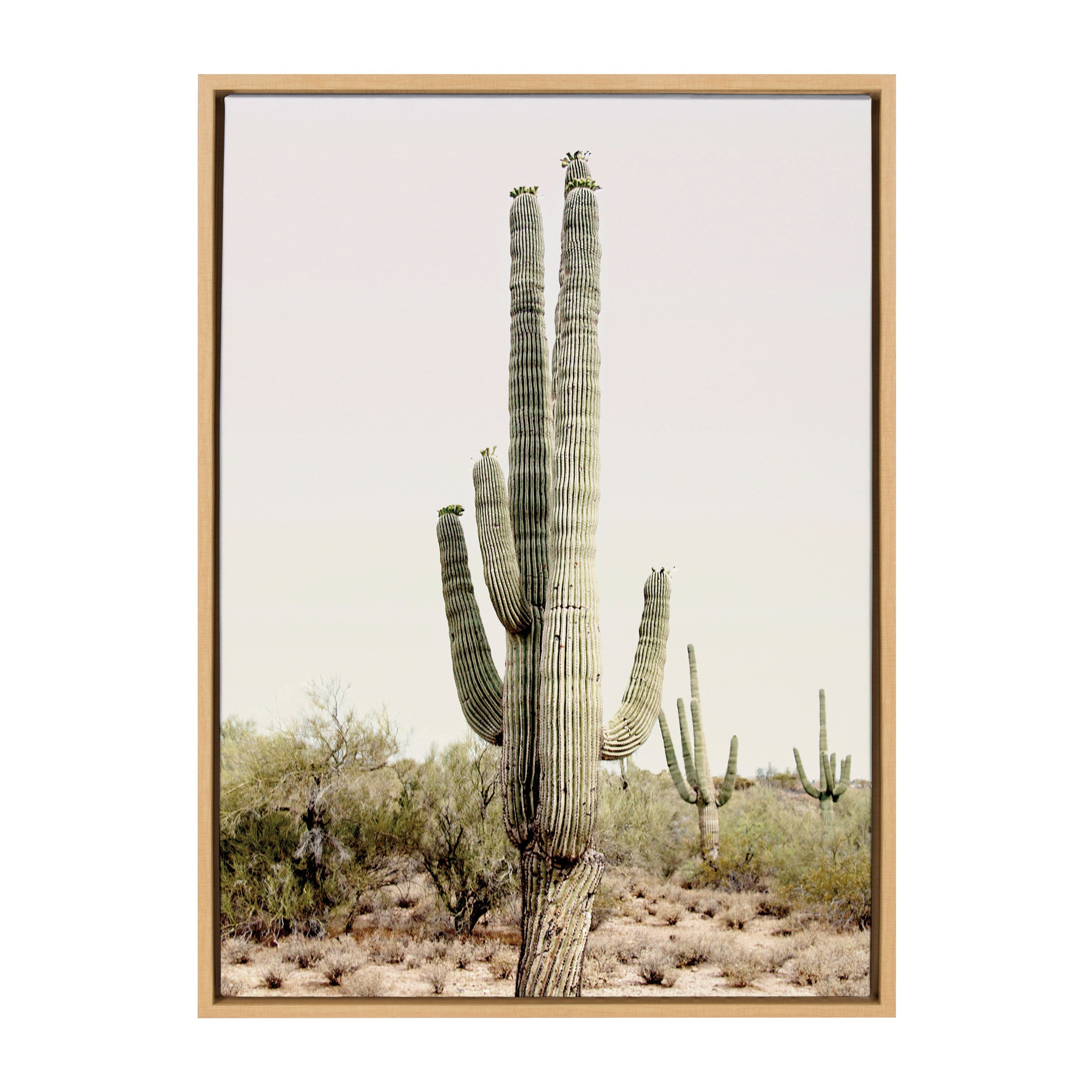 Sylvie Sunrise Cactus Framed Canvas Art