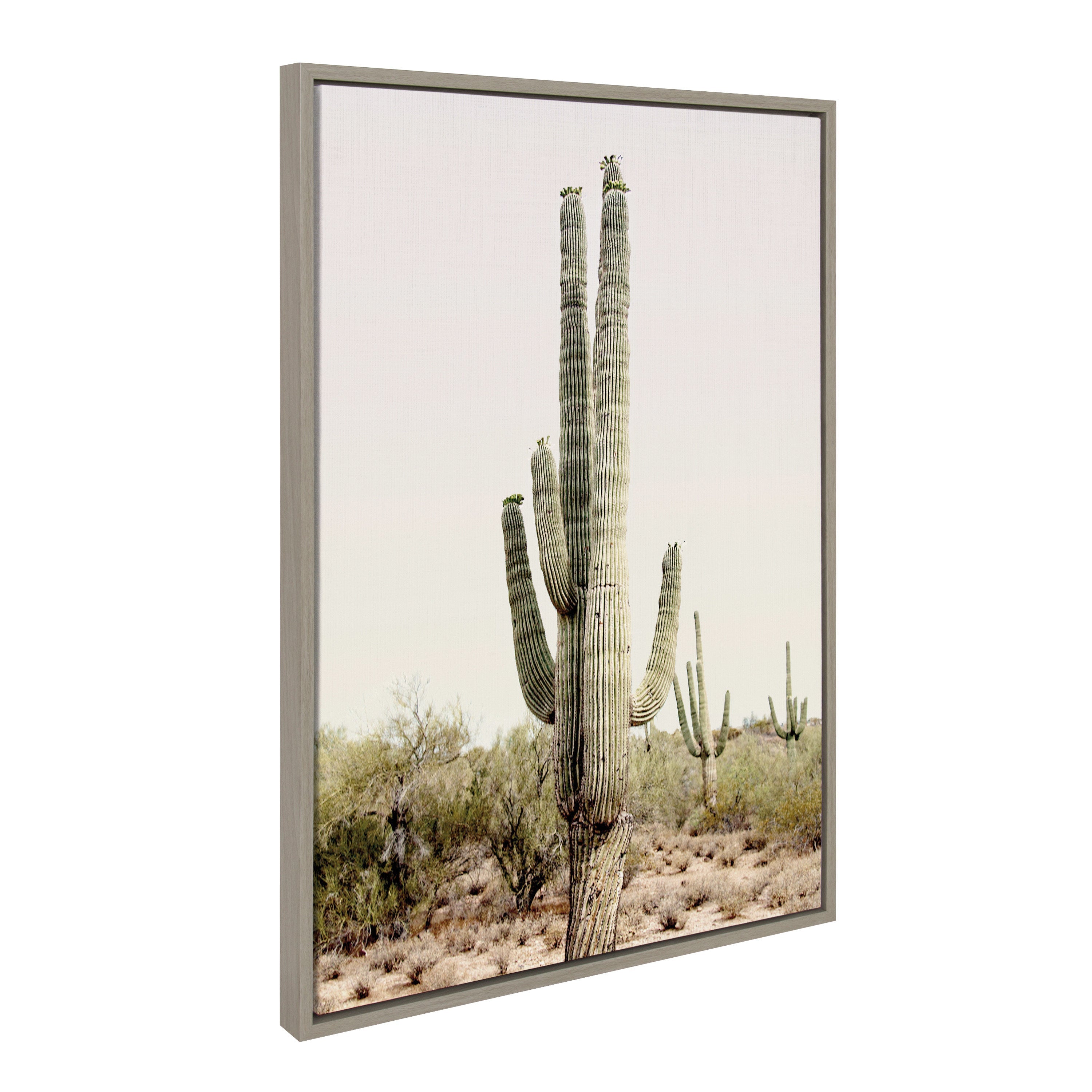 Sylvie Sunrise Cactus Framed Canvas Art