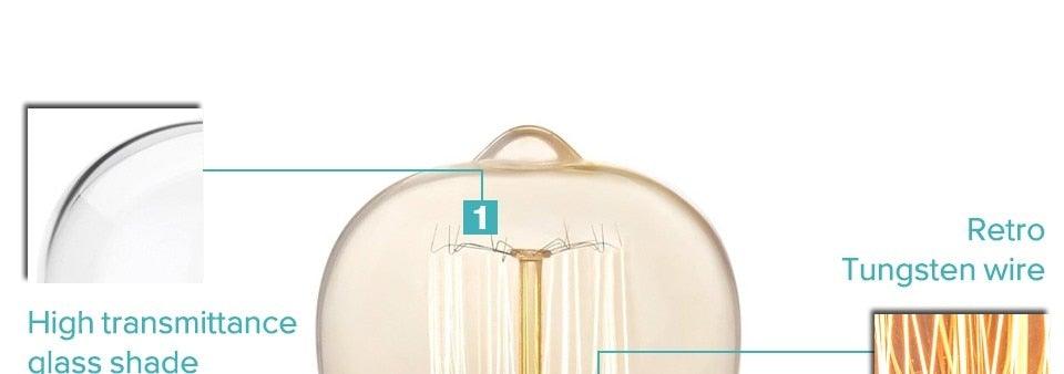 Vintage Edison Filament Bulb Collection