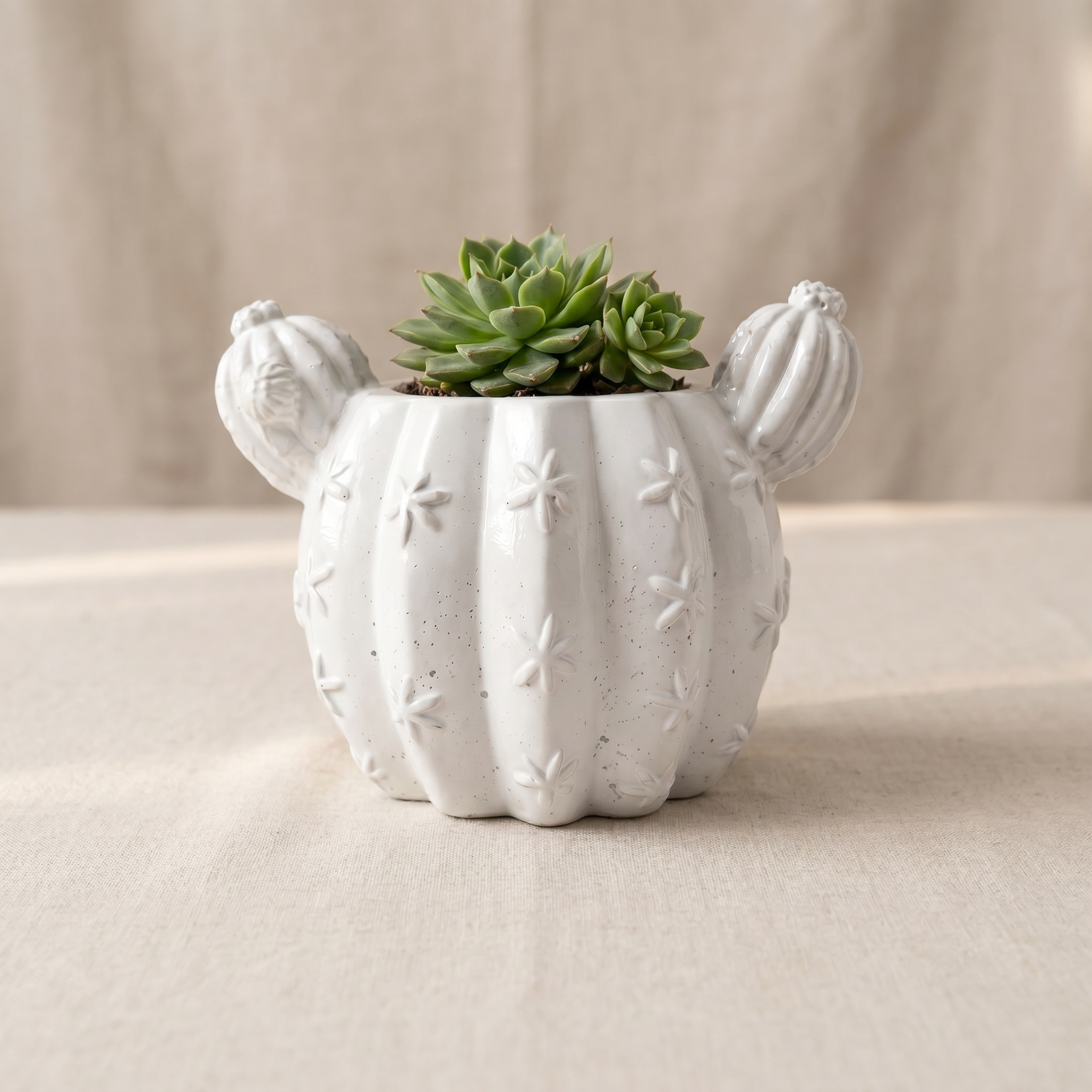 Barrel Cactus Planter