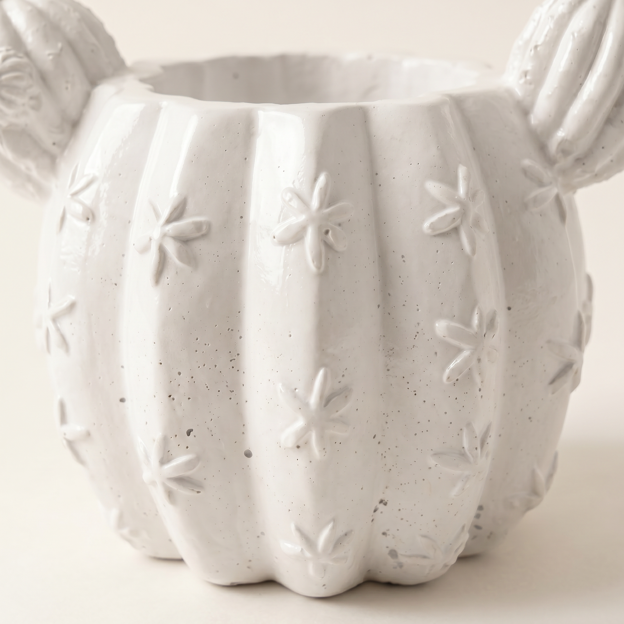 Barrel Cactus Planter