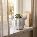 Barrel Cactus Planter