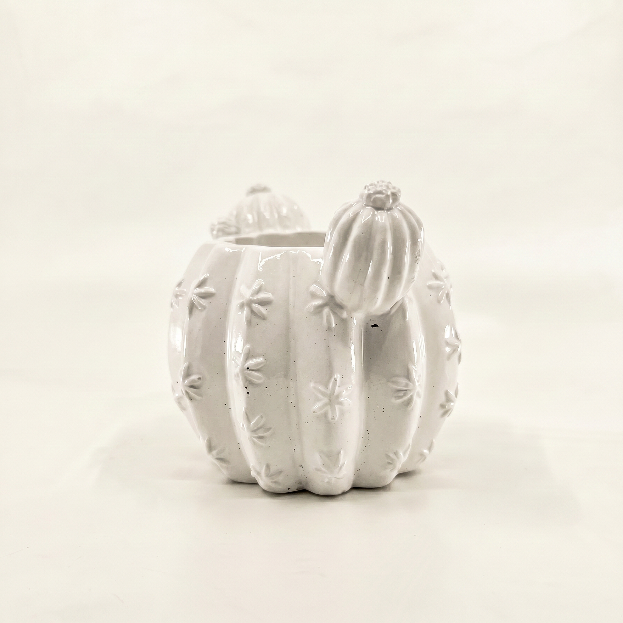 Barrel Cactus Planter