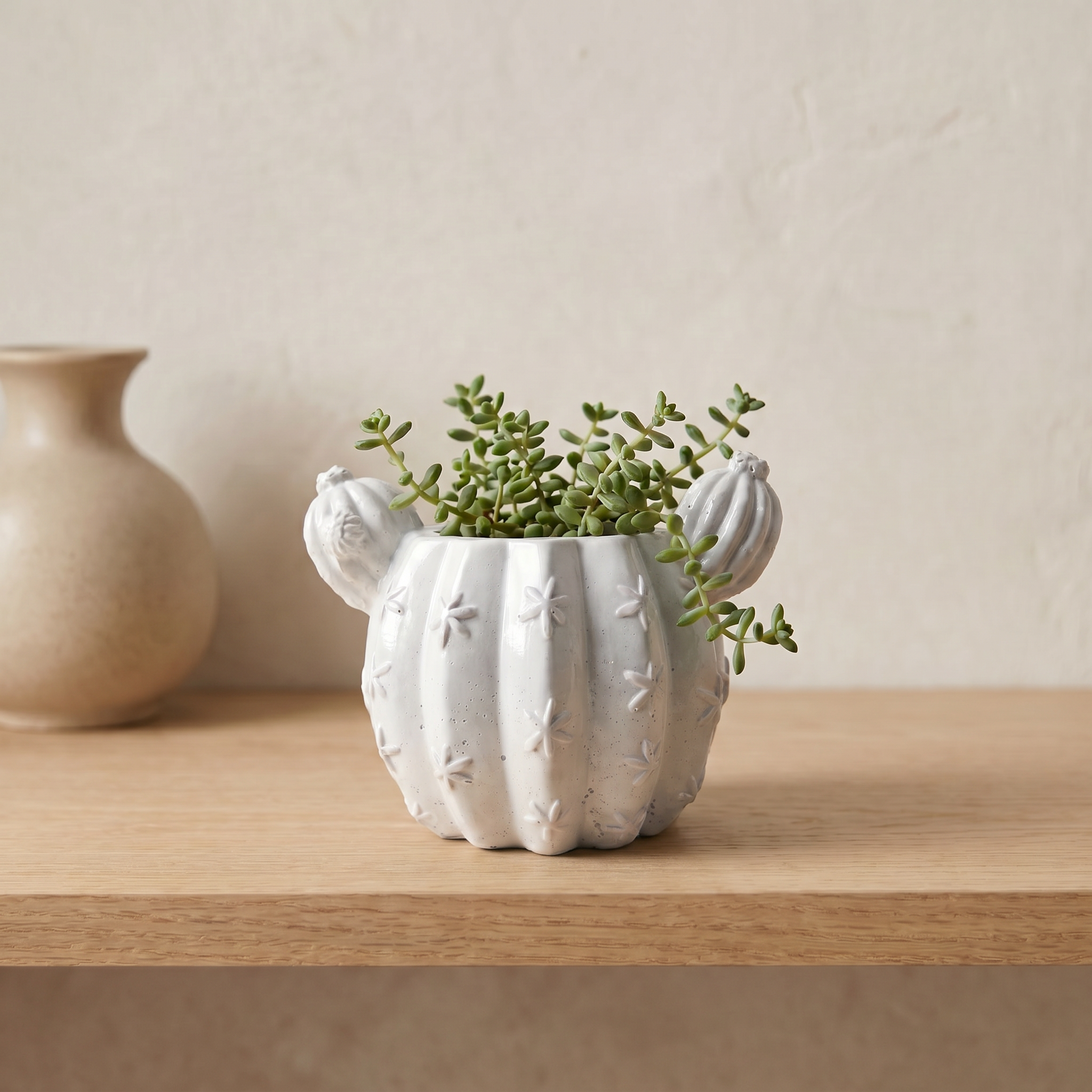 Barrel Cactus Planter