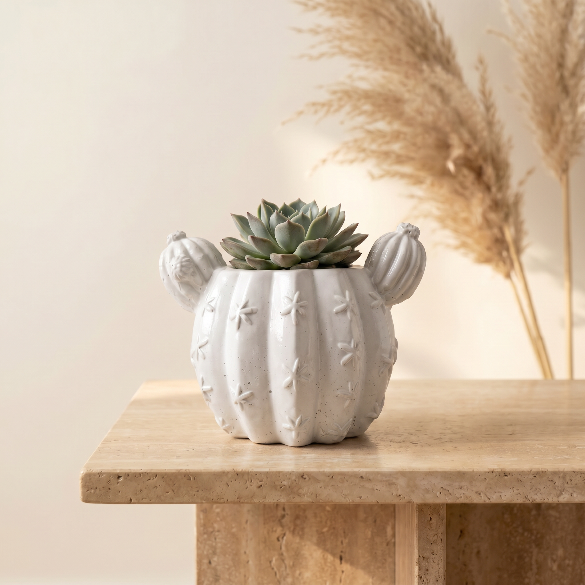 Barrel Cactus Planter