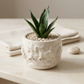 Mustang Relief Planter
