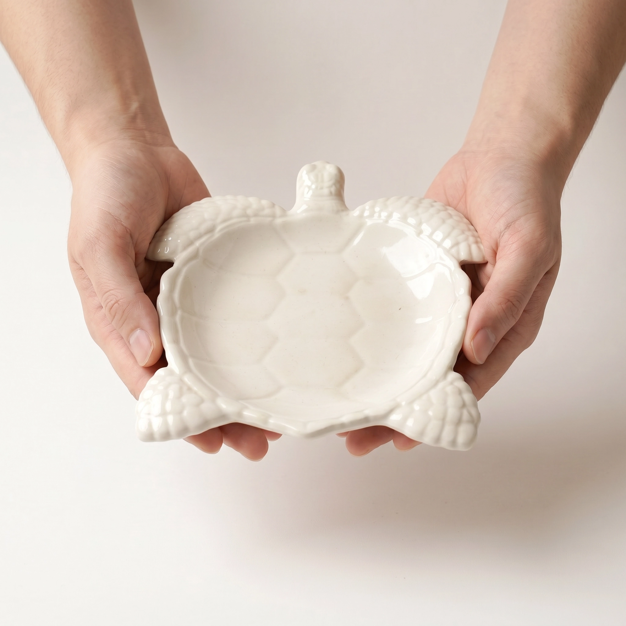 Sea Turtle Decorative Tray