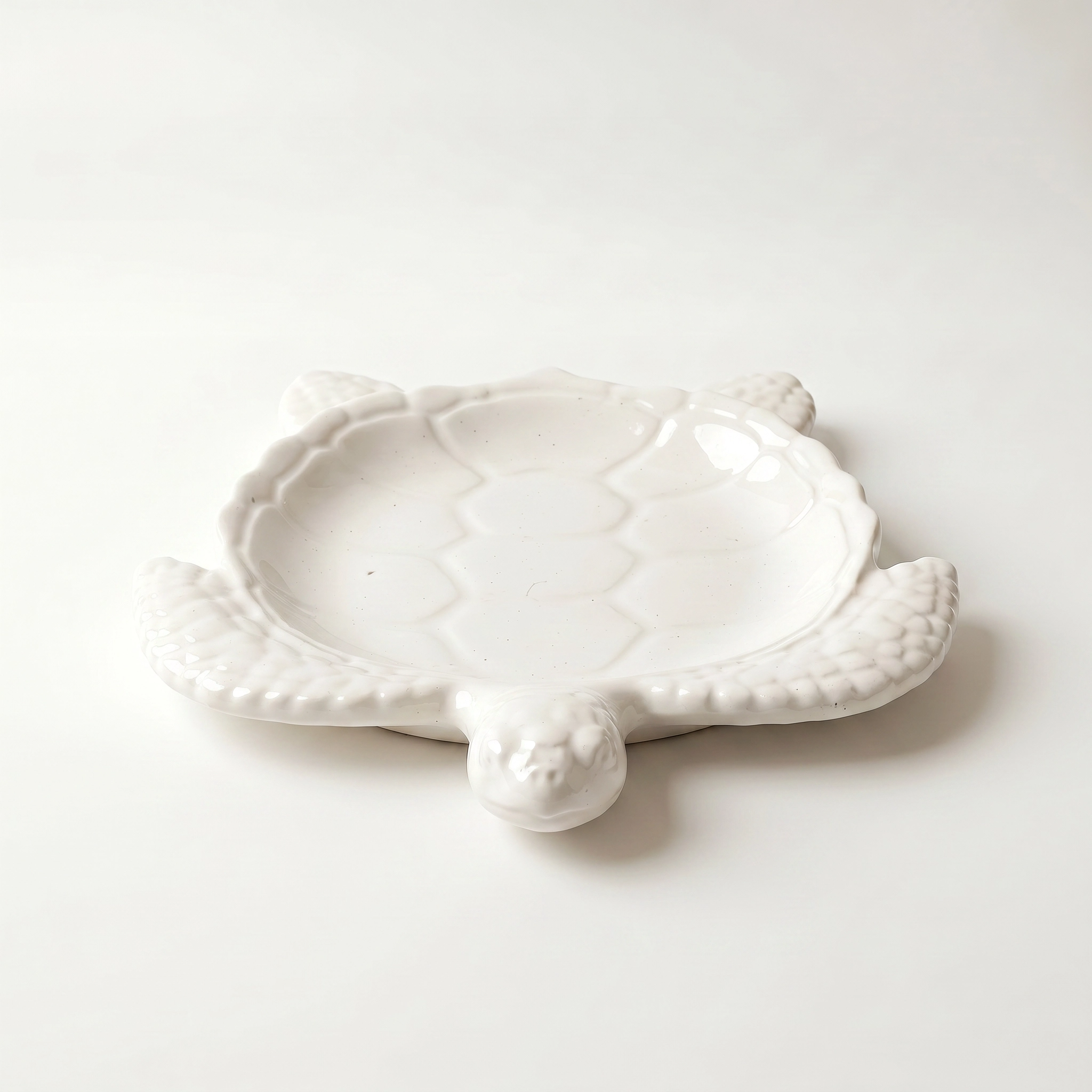 Sea Turtle Decorative Tray