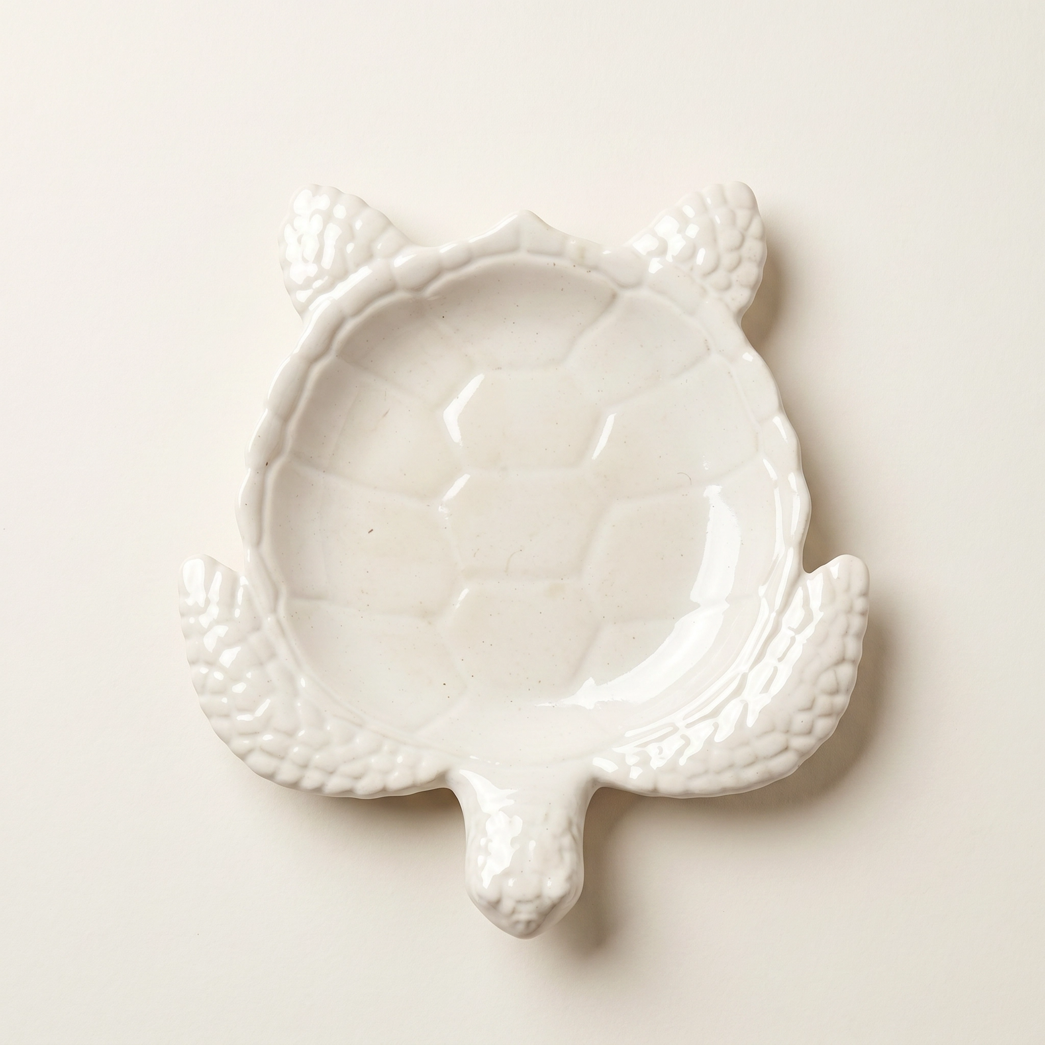 Sea Turtle Decorative Tray