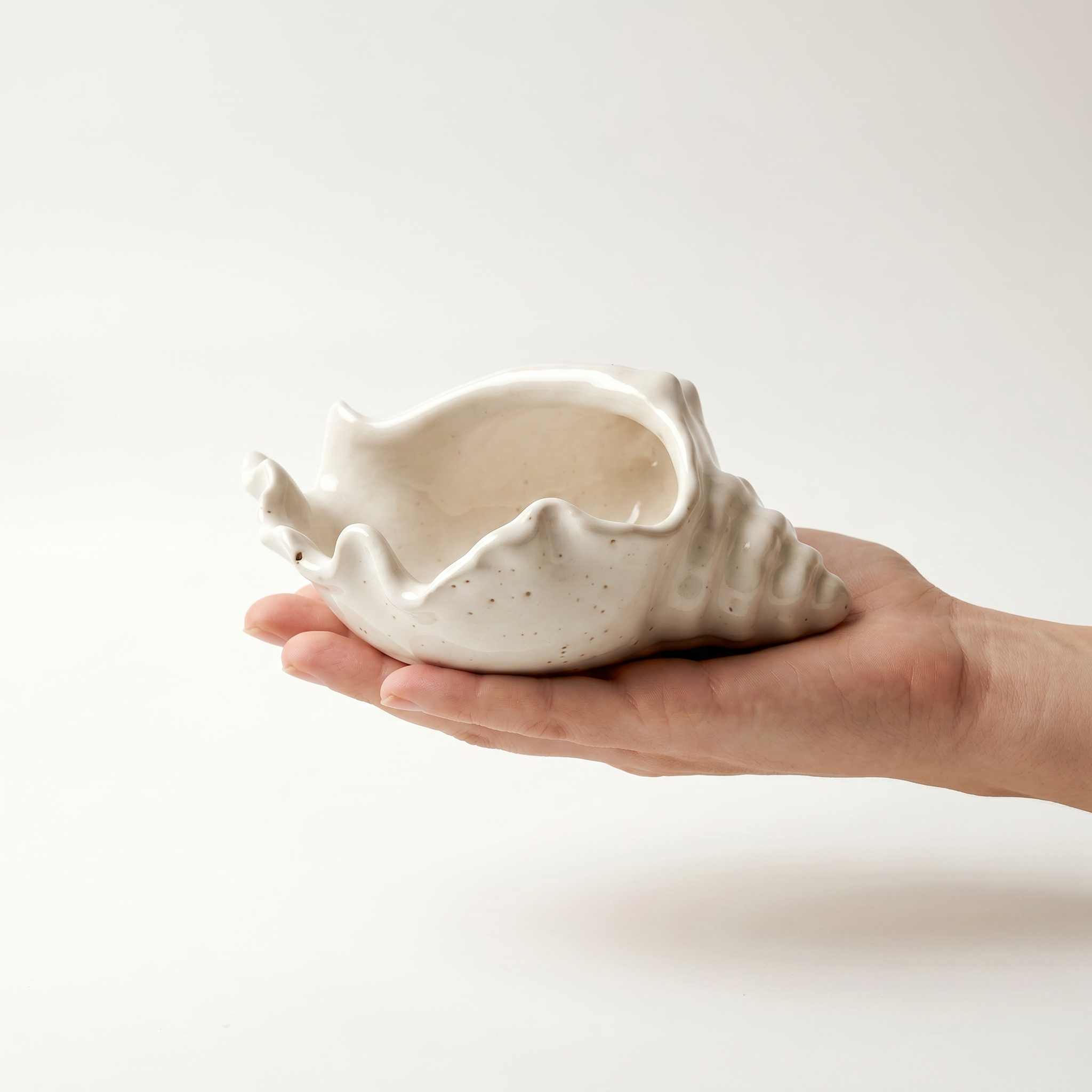 Conch Shell Bowl